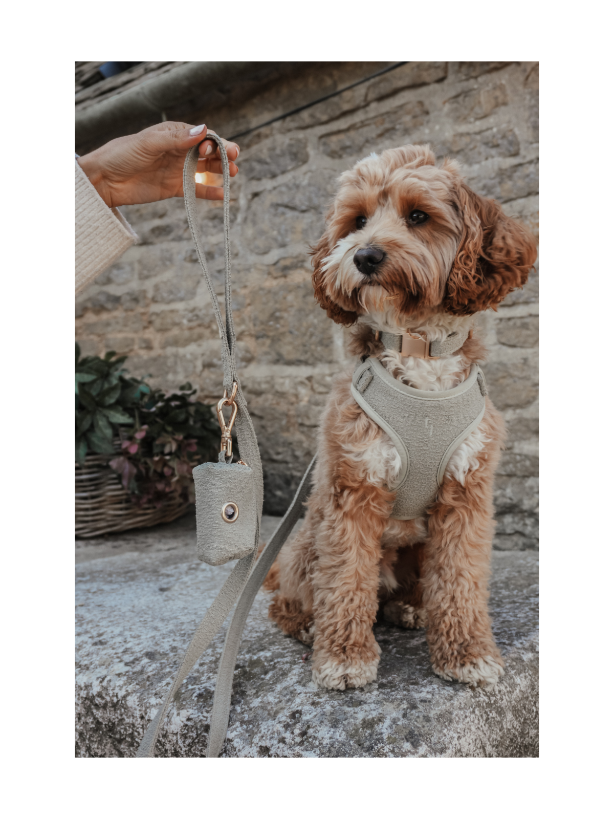 Bouclé Adjustable Harness – Matcha