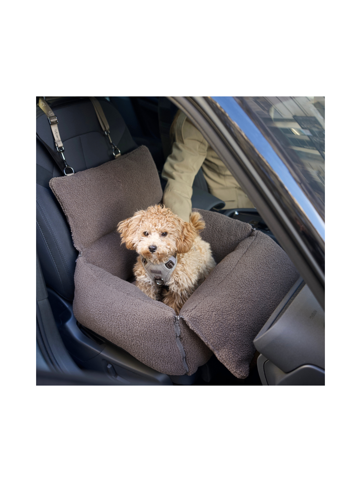3-in-1 Dog Car Seat & Carrier – Teddy Brown