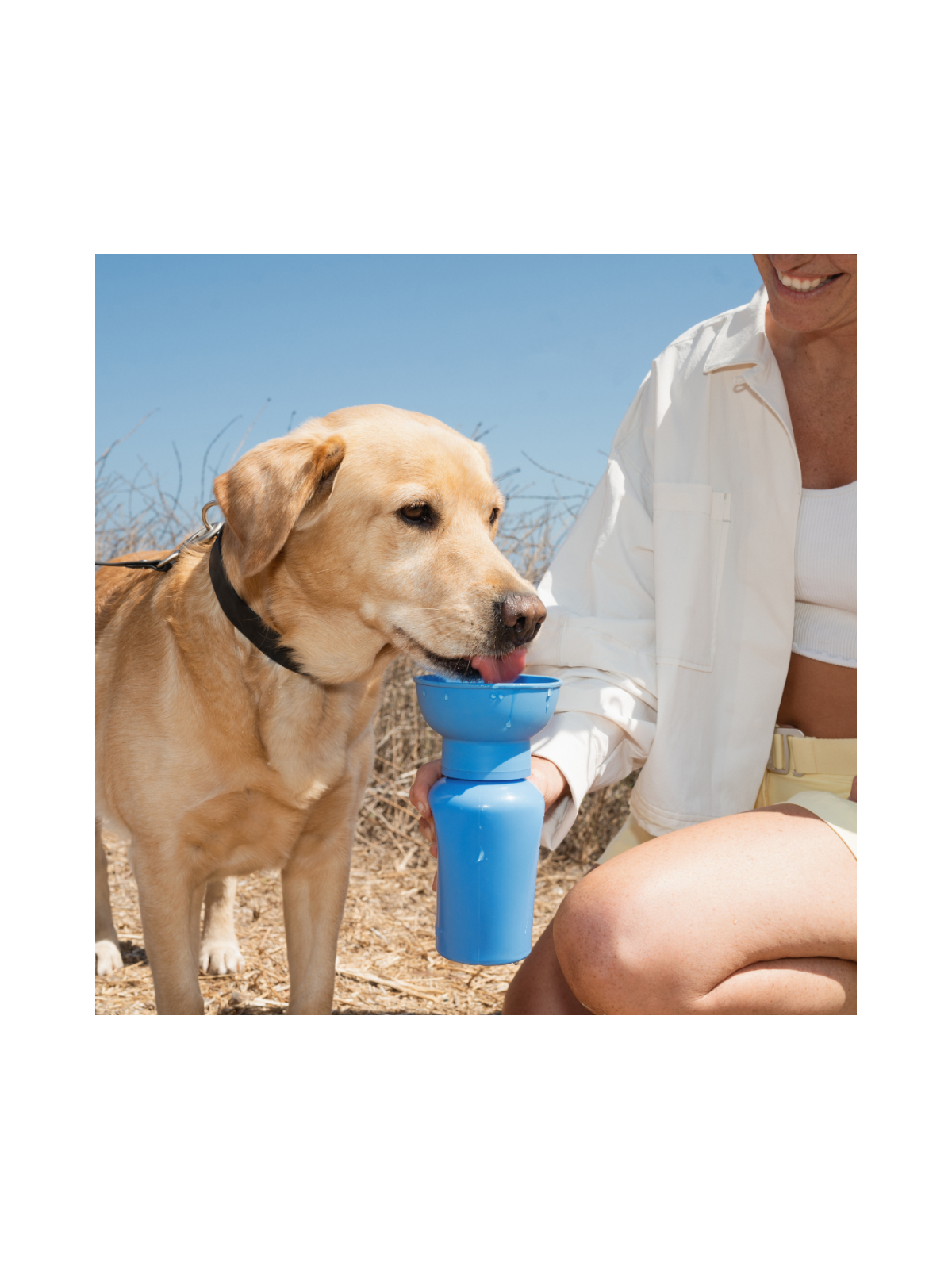 Travel Water Bottle (600ml) – Blueberry