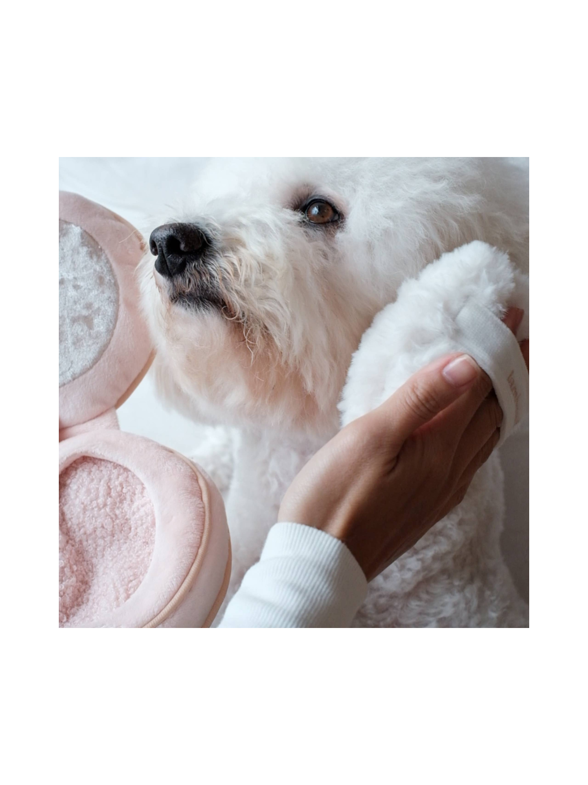Blush Enrichment Dog Toy