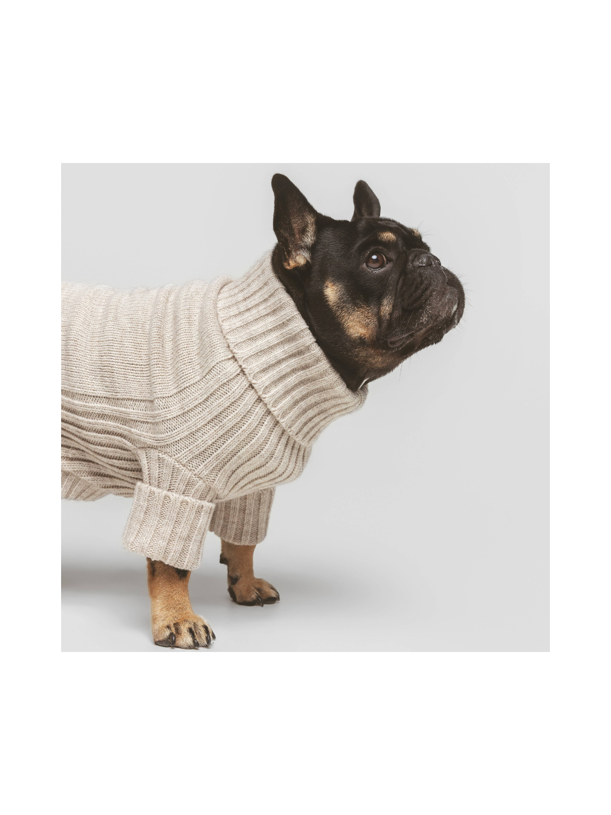 Pantone Sweater – Bone