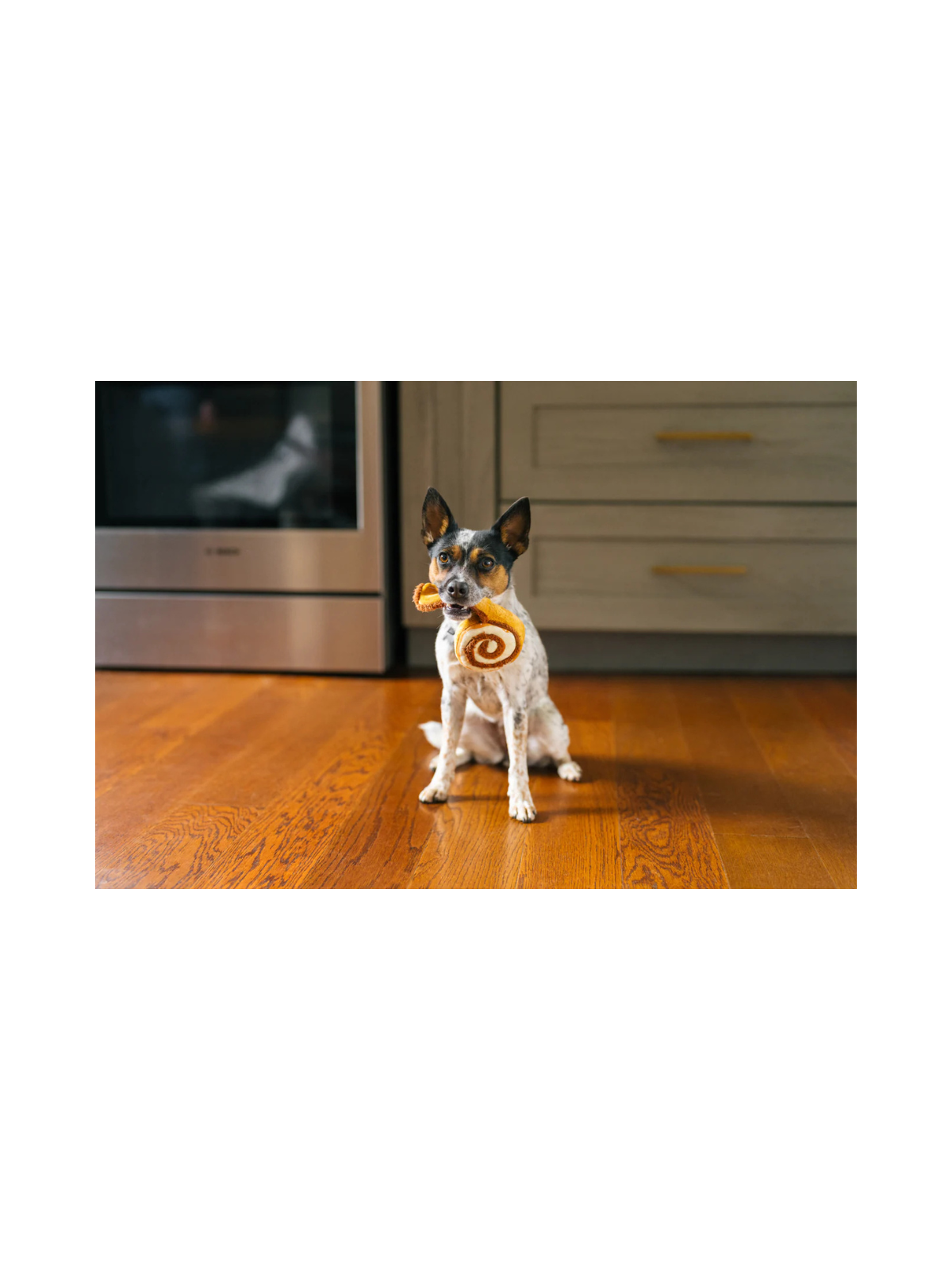 Pup Cup Cafe Cinna-bone