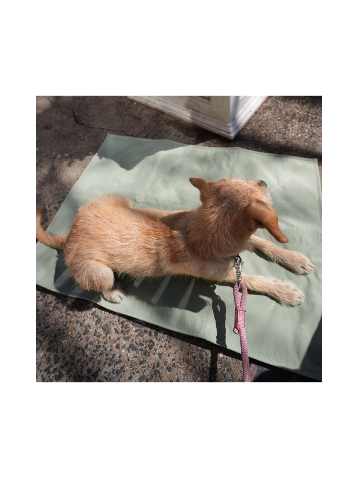 Jouir Pet Travel Mat – Sage