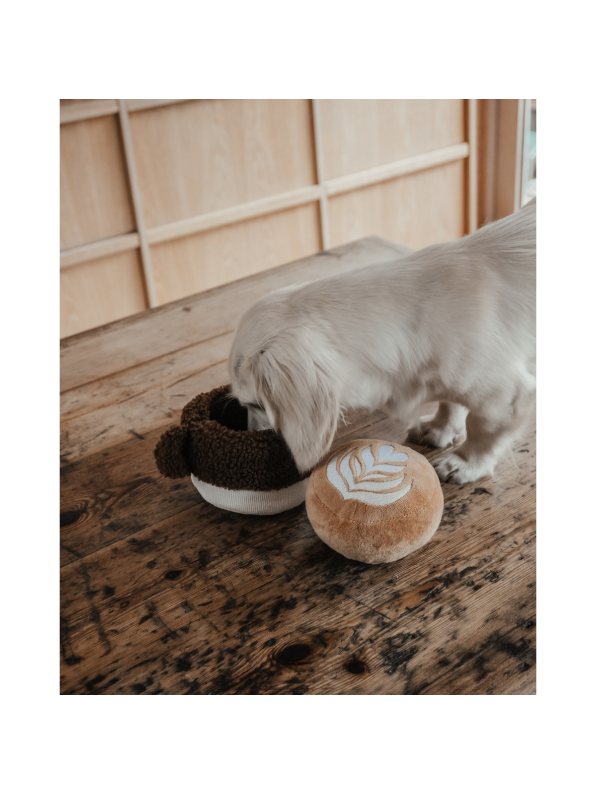 Flat White Cup Interactive Dog Toy
