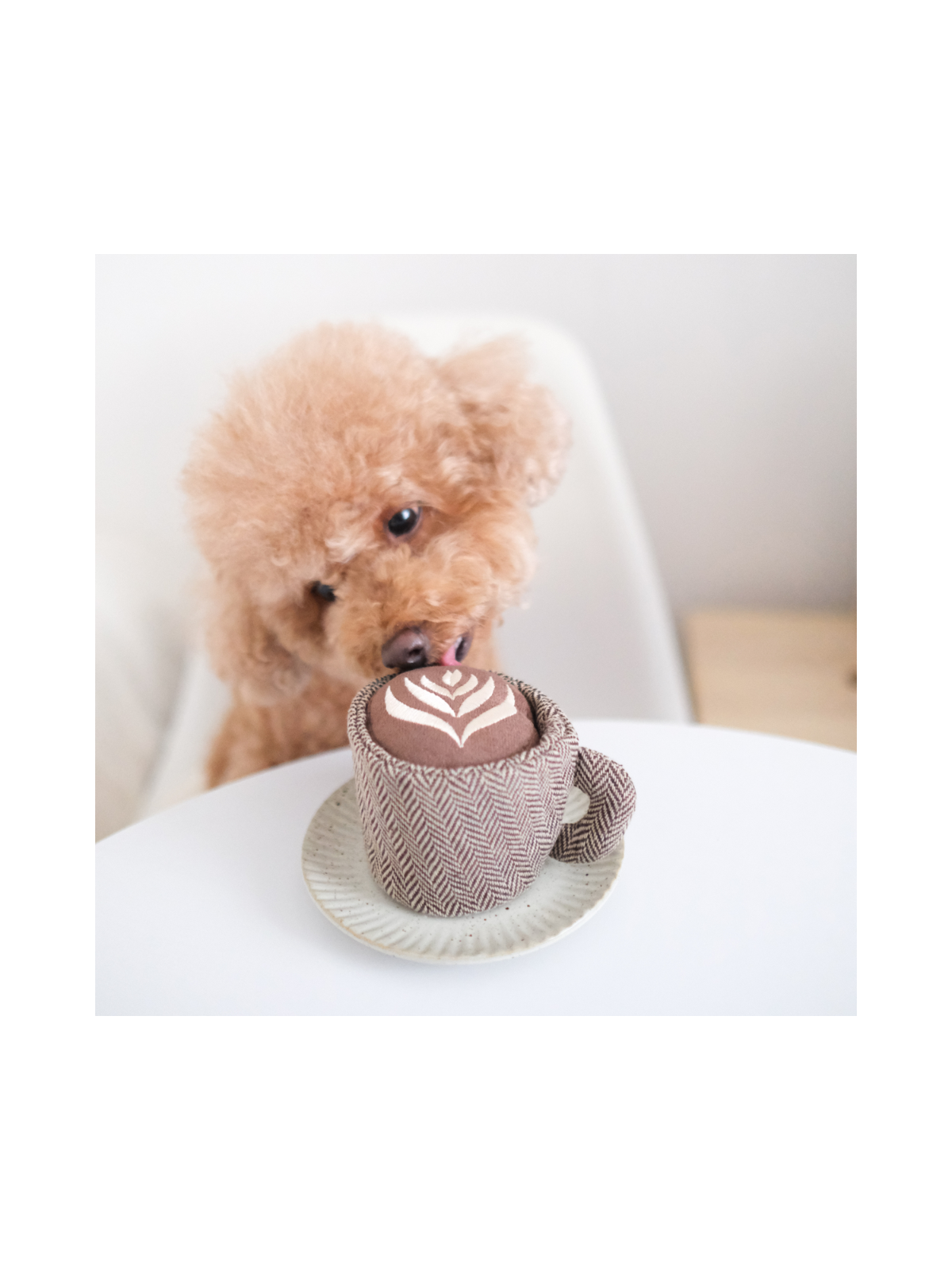 Latte Pop Enrichment Toy