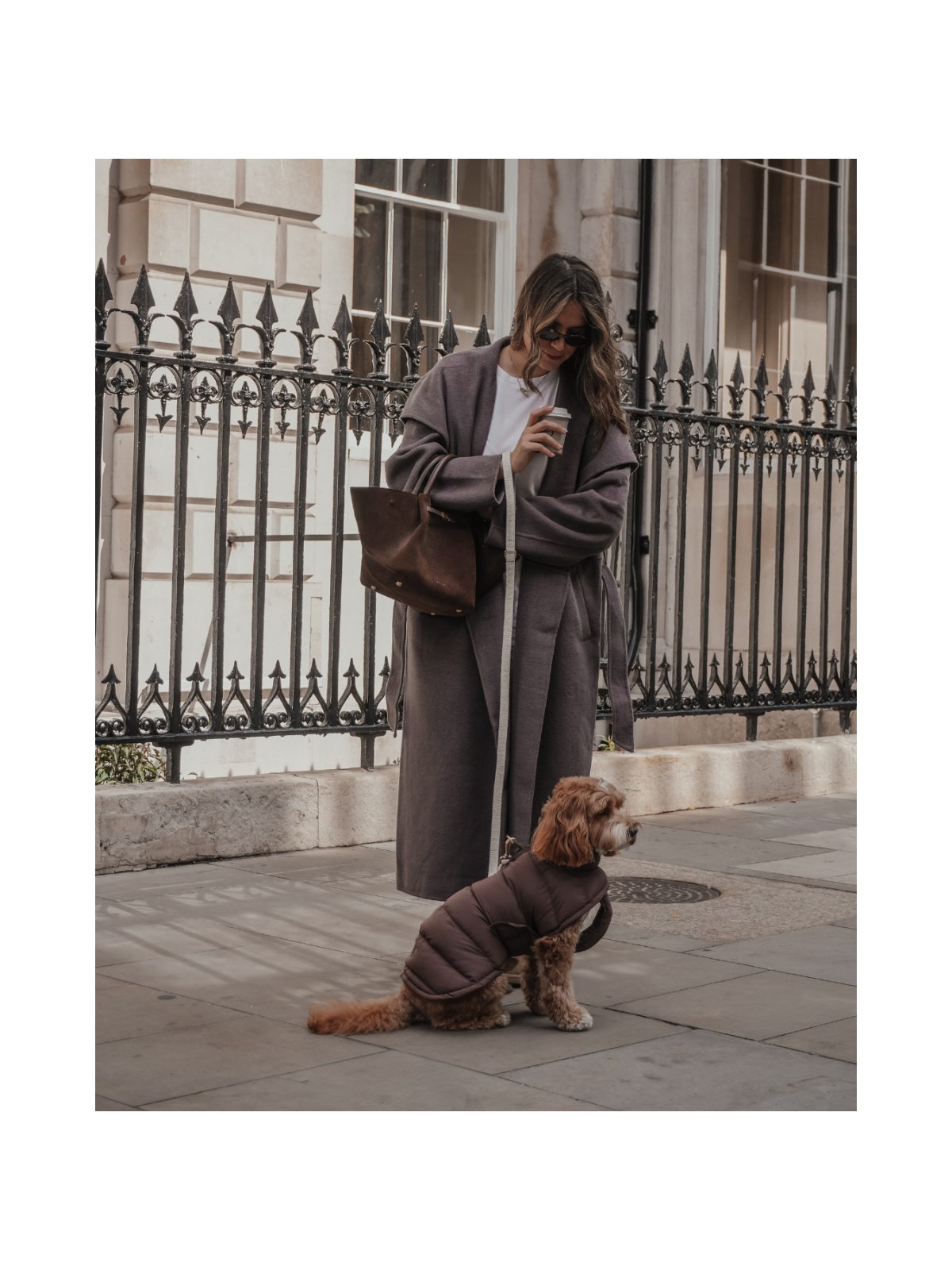 The Capsule Puffer Dog Coat – Chocolate