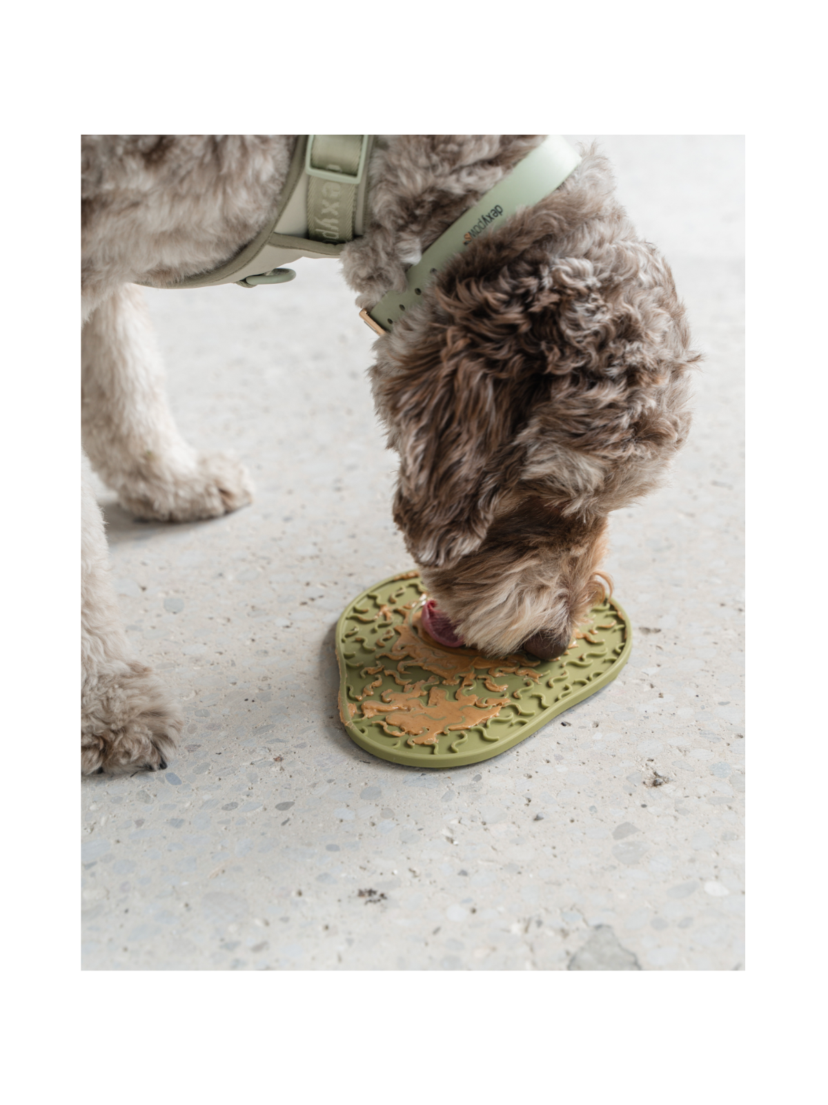 Avocado Enrichment Lick Mat