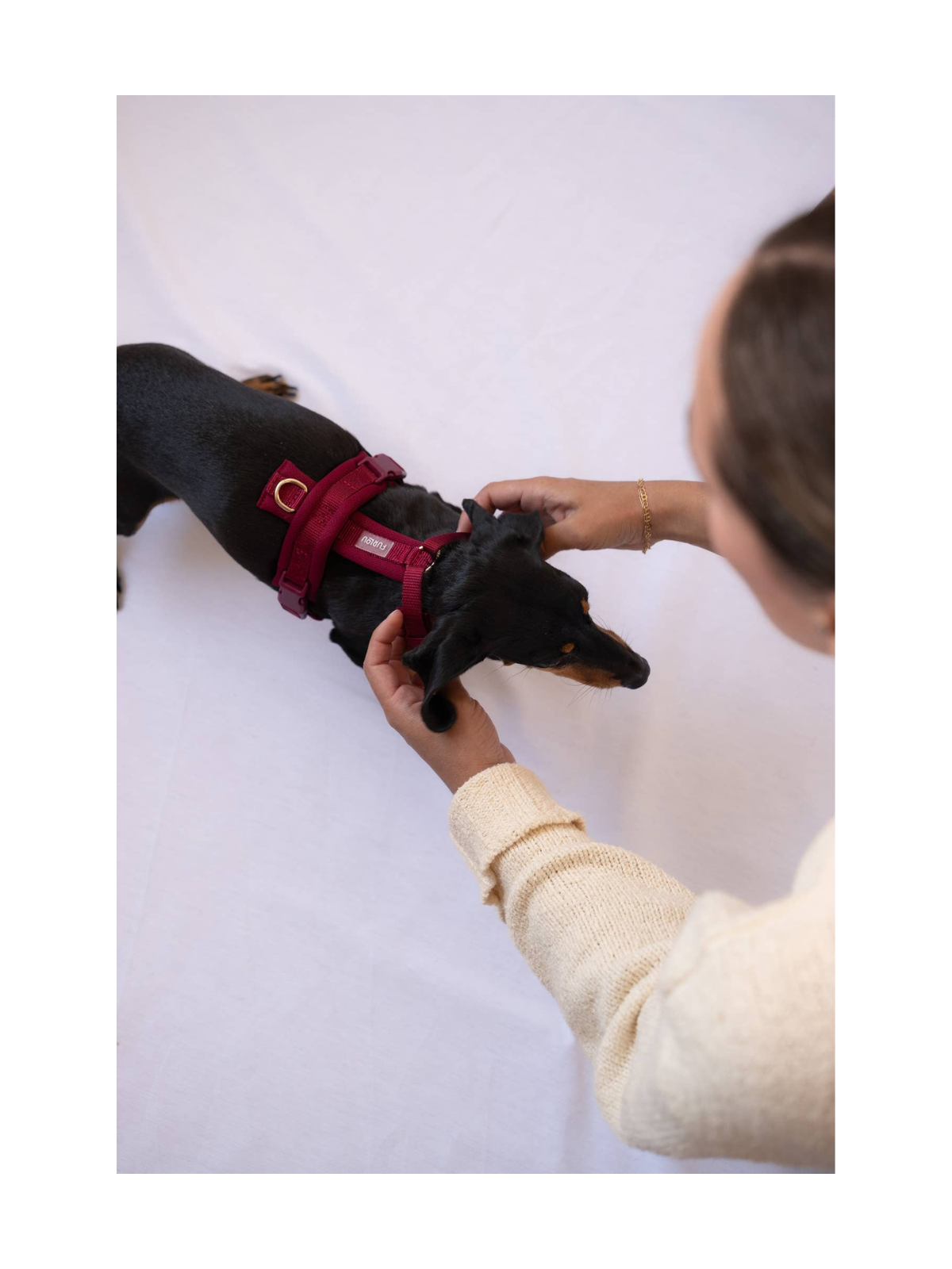 Comfort Dog Harness – Bordeaux