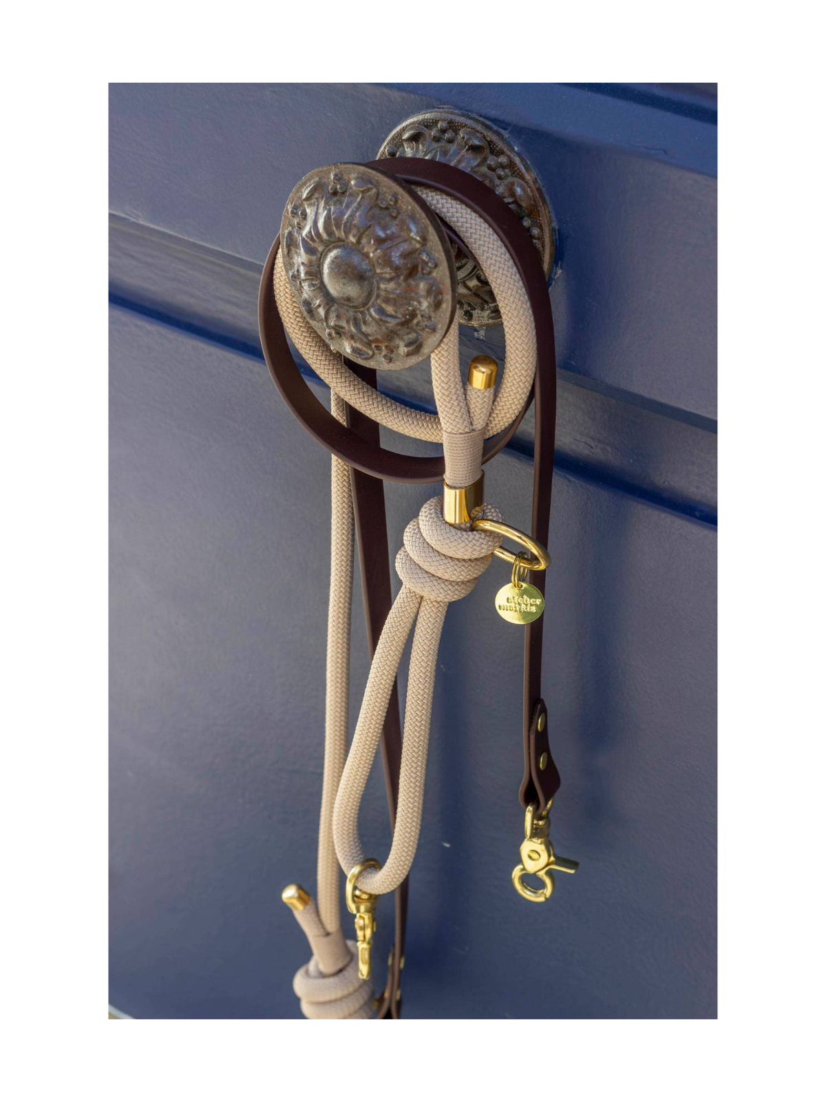 Latte Hands-Free Rope × Biothane Leash – Silver Hardware