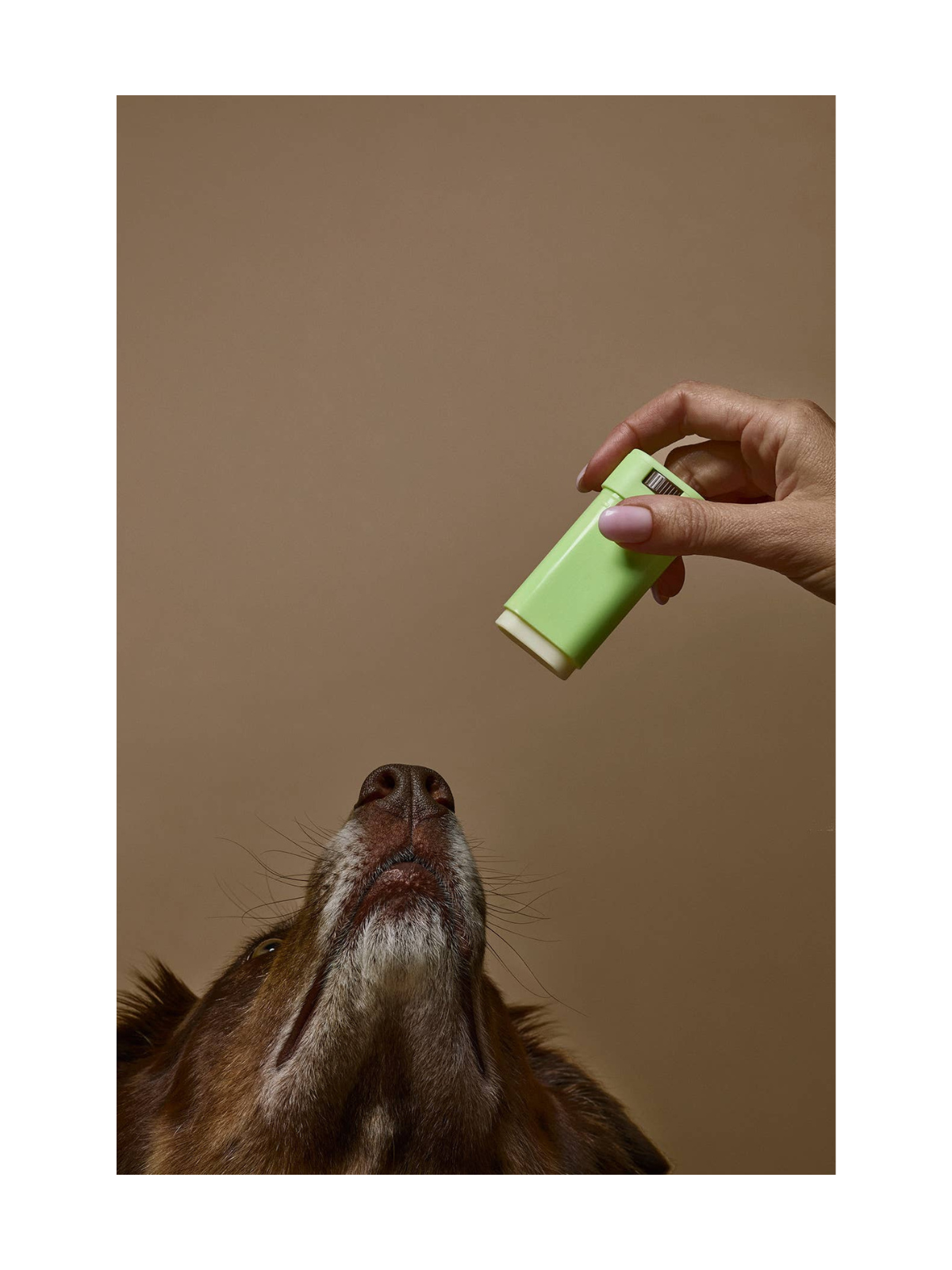 Skin Barrier Stick