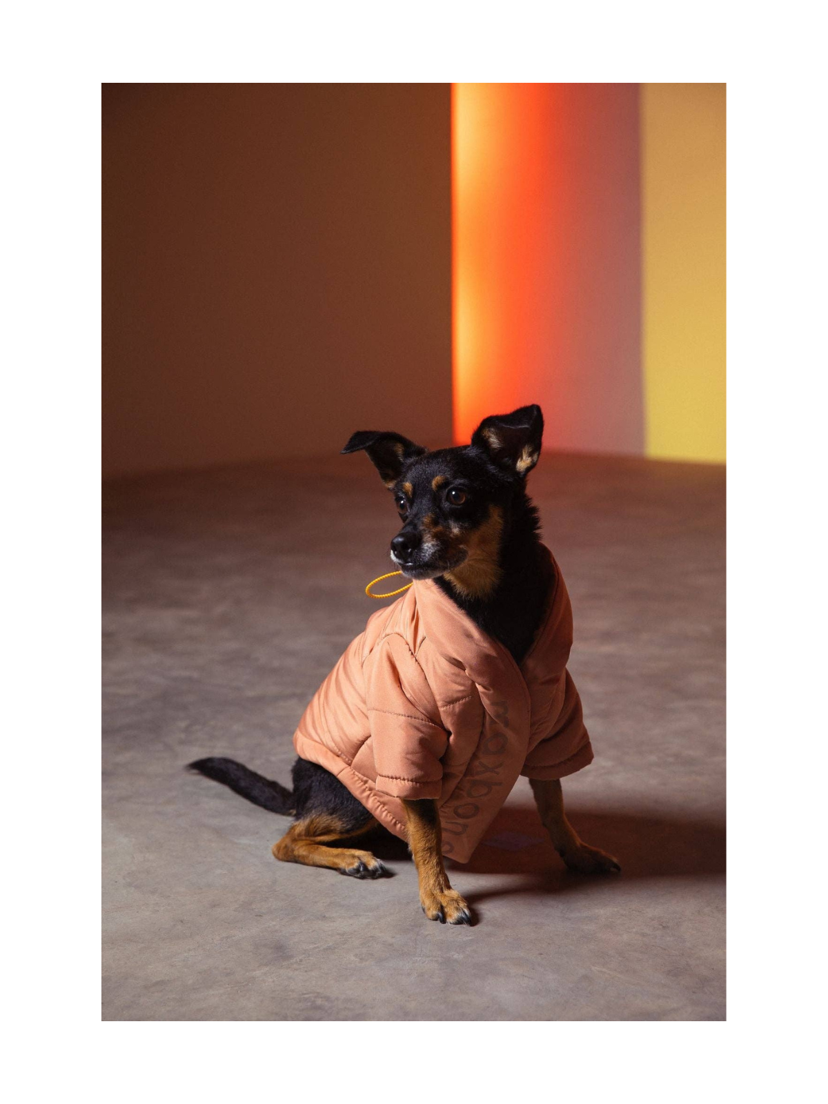 Wrap Puffer Dog Jacket