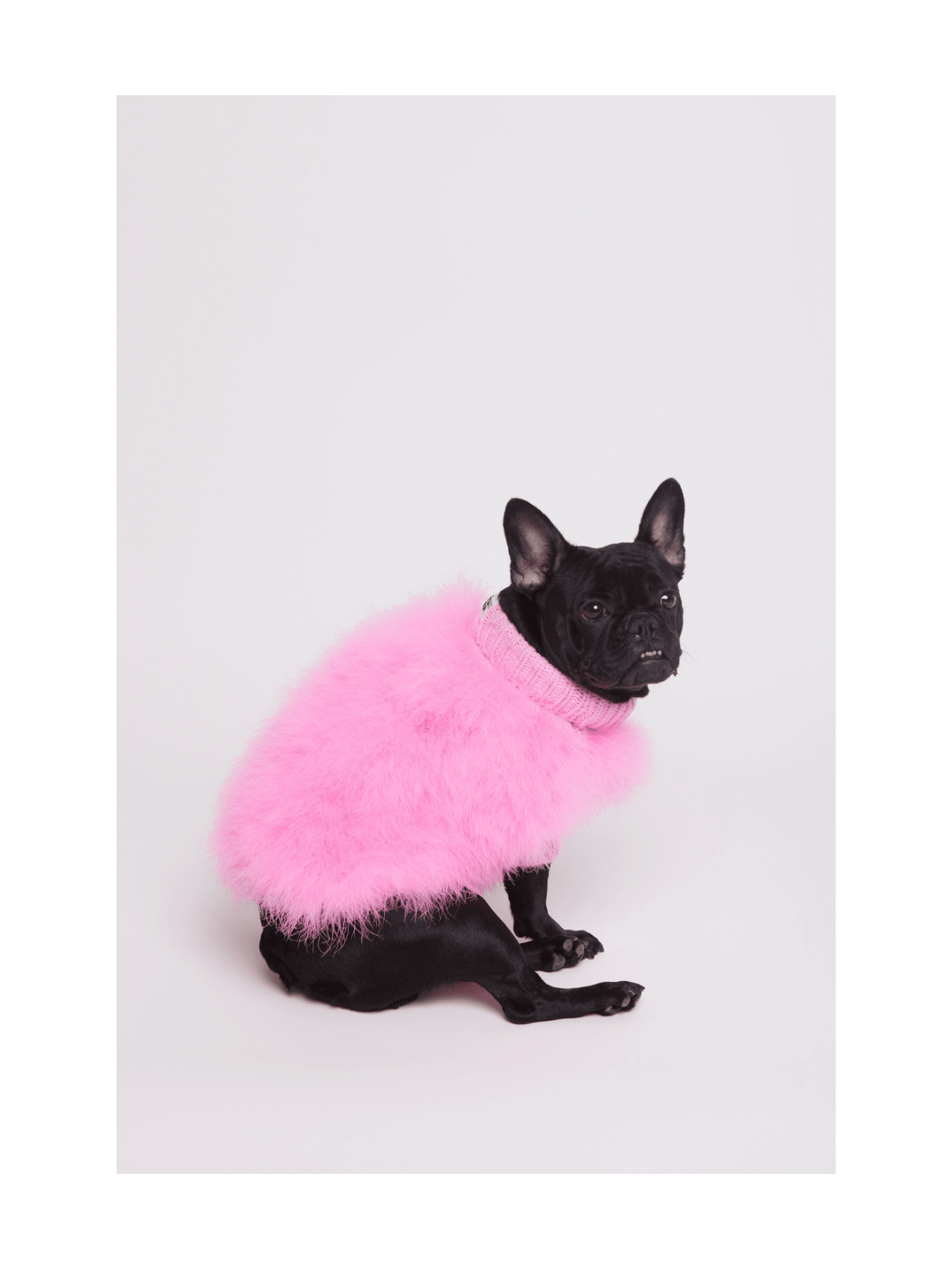 Maxbone x Christian Cowan Dog Sweater – Pink
