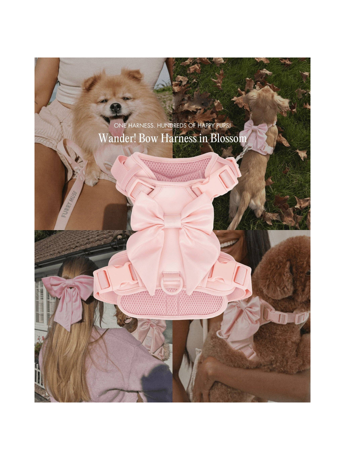 Wander! Bow Harness 2.0 – Blossom Pink