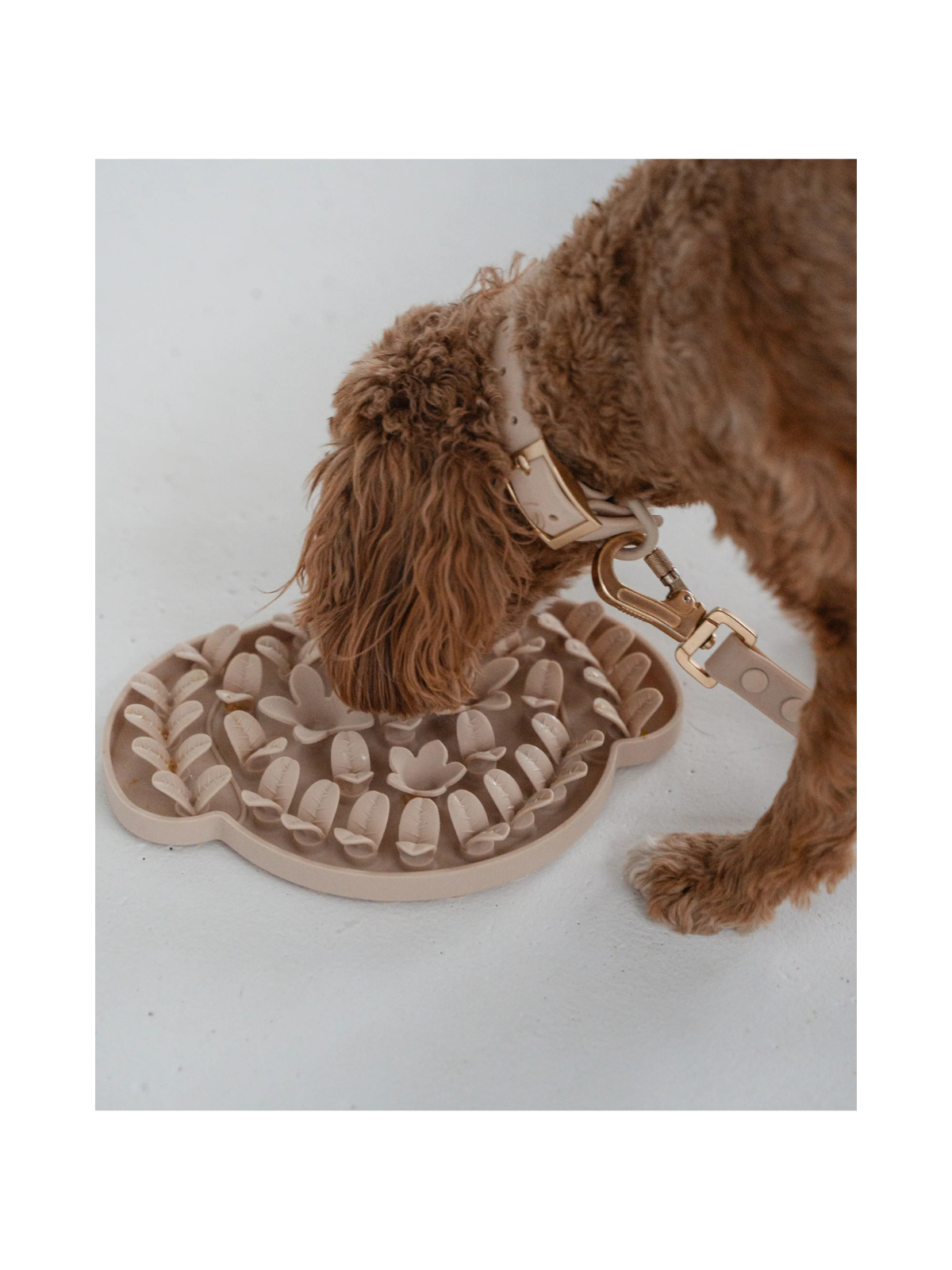 Dog Head Enrichment Snuffle Mat – Nude