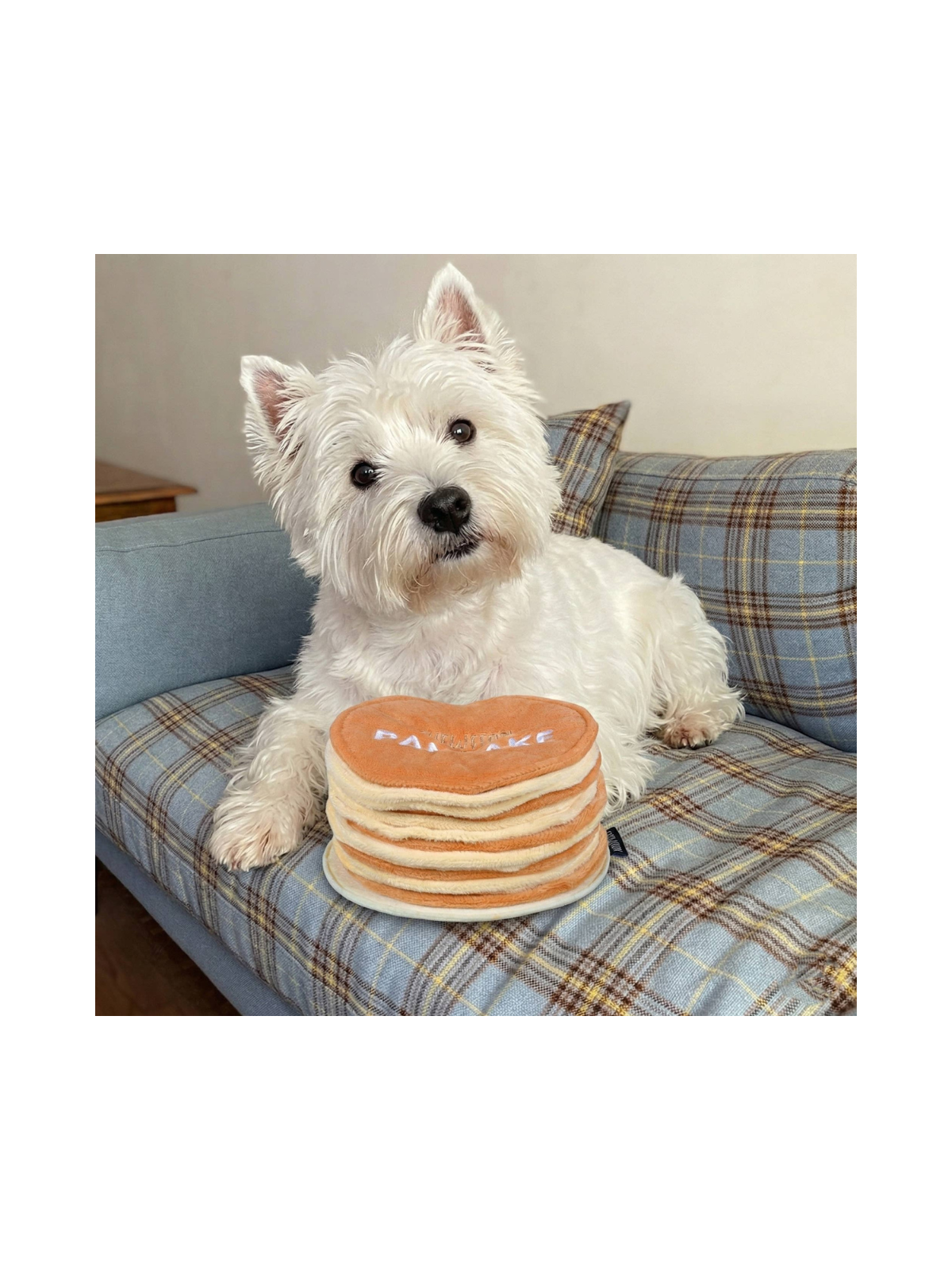 Pancake Snuffle Toy