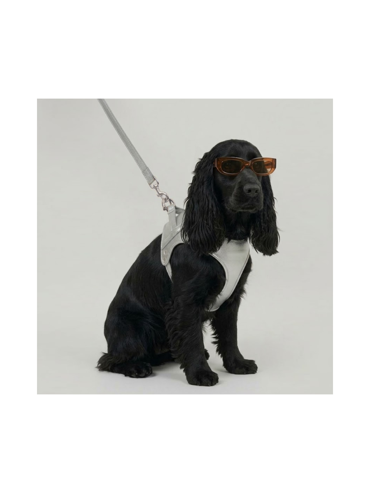 Churchill Harness – Silver