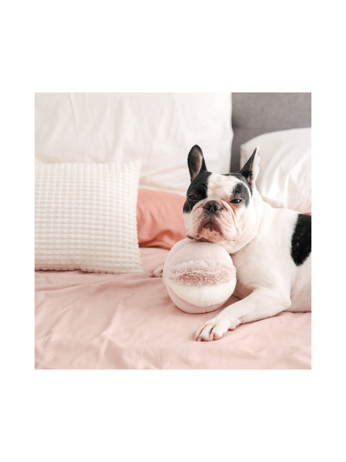 Toto Snuffle Ball