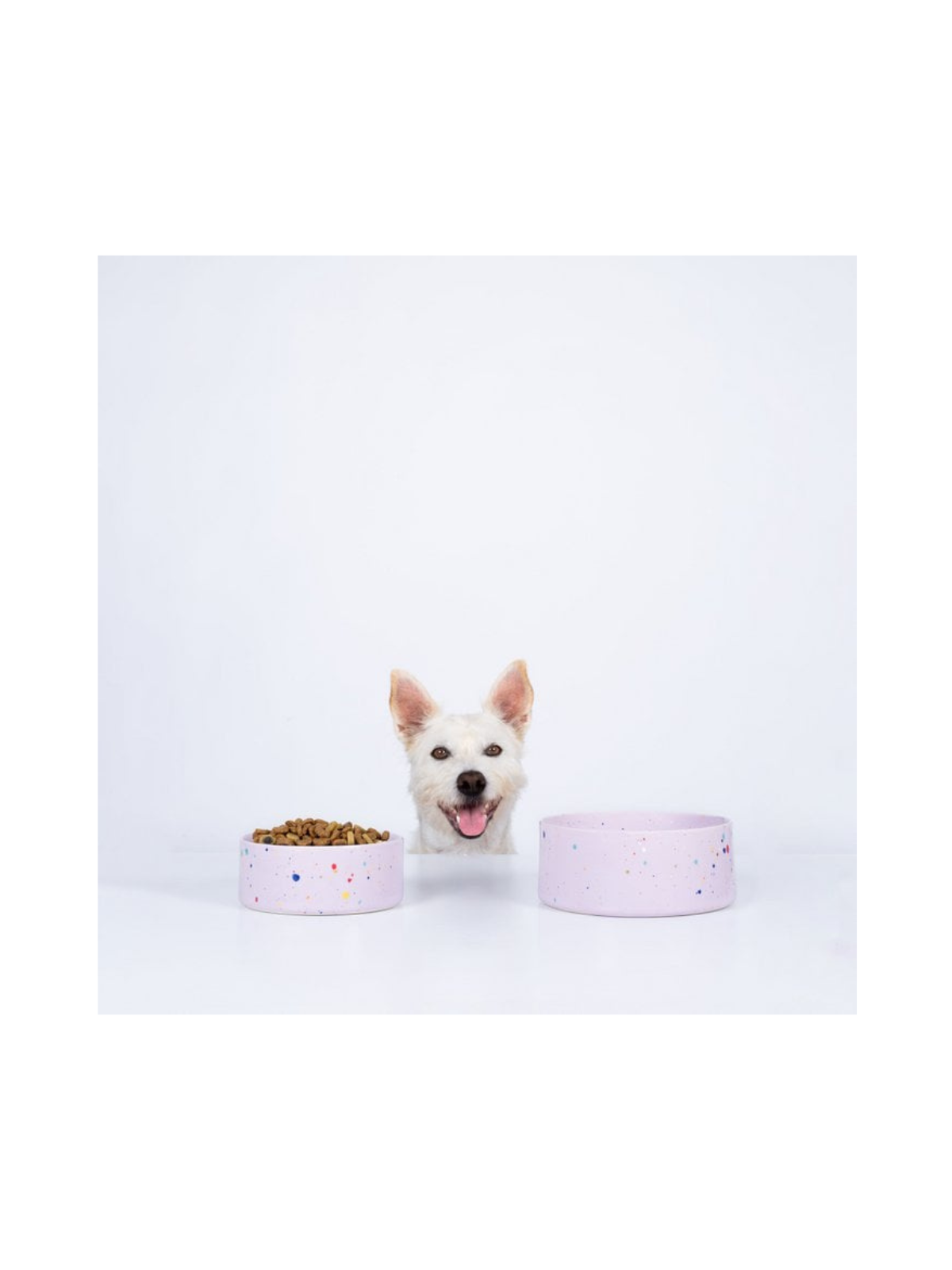 New Party Pet Bowl - Lilac