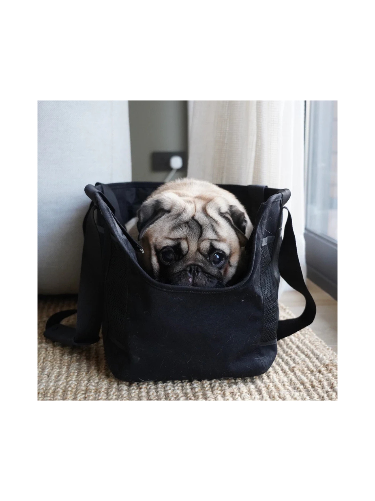 Subway Dog Carrier – Black