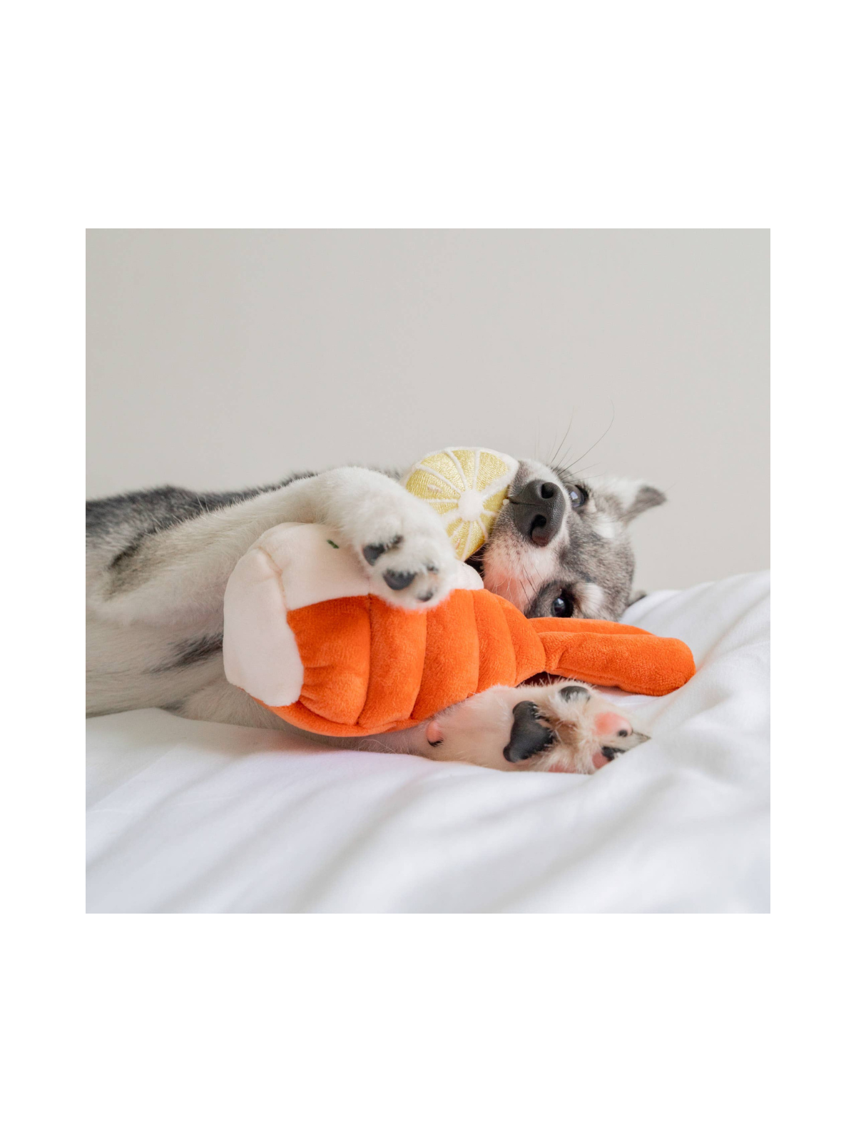 Grilled Lobster Nosework Toy