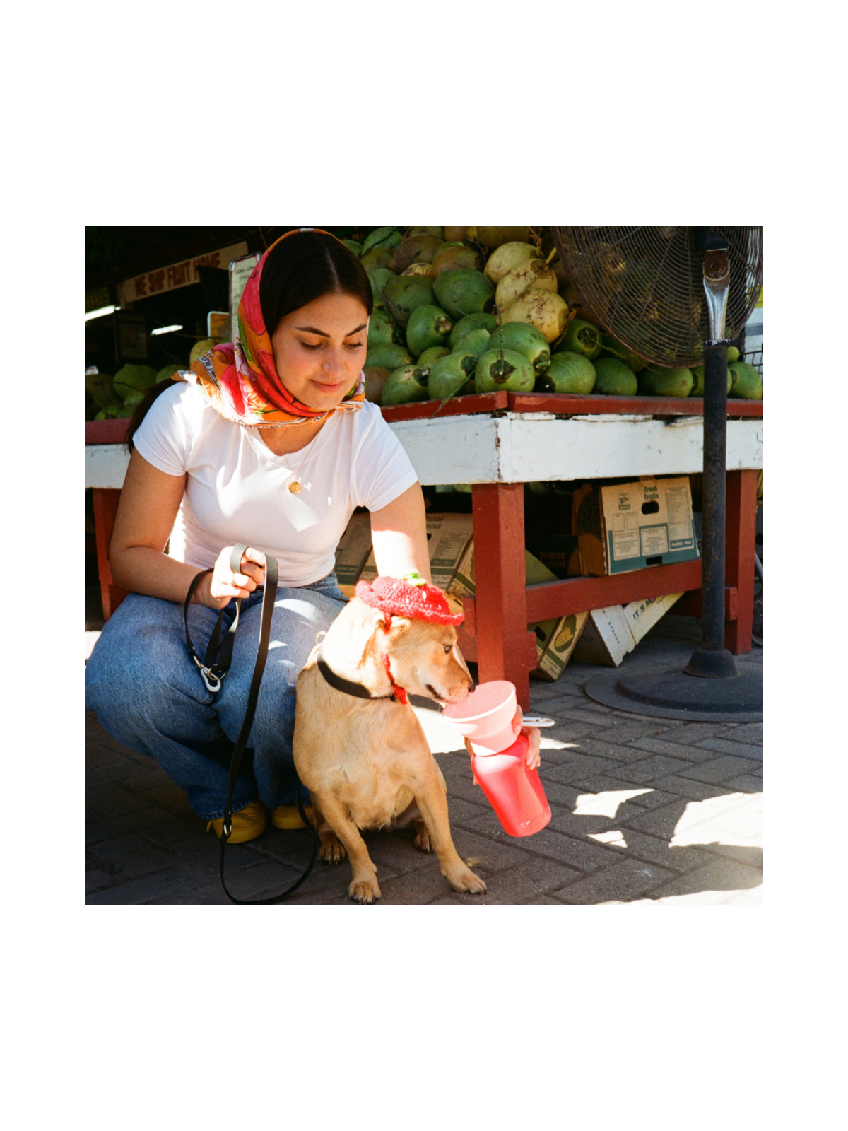 Dog Travel Water Bottle – Strawberry Guava (LIMITED EDITION)