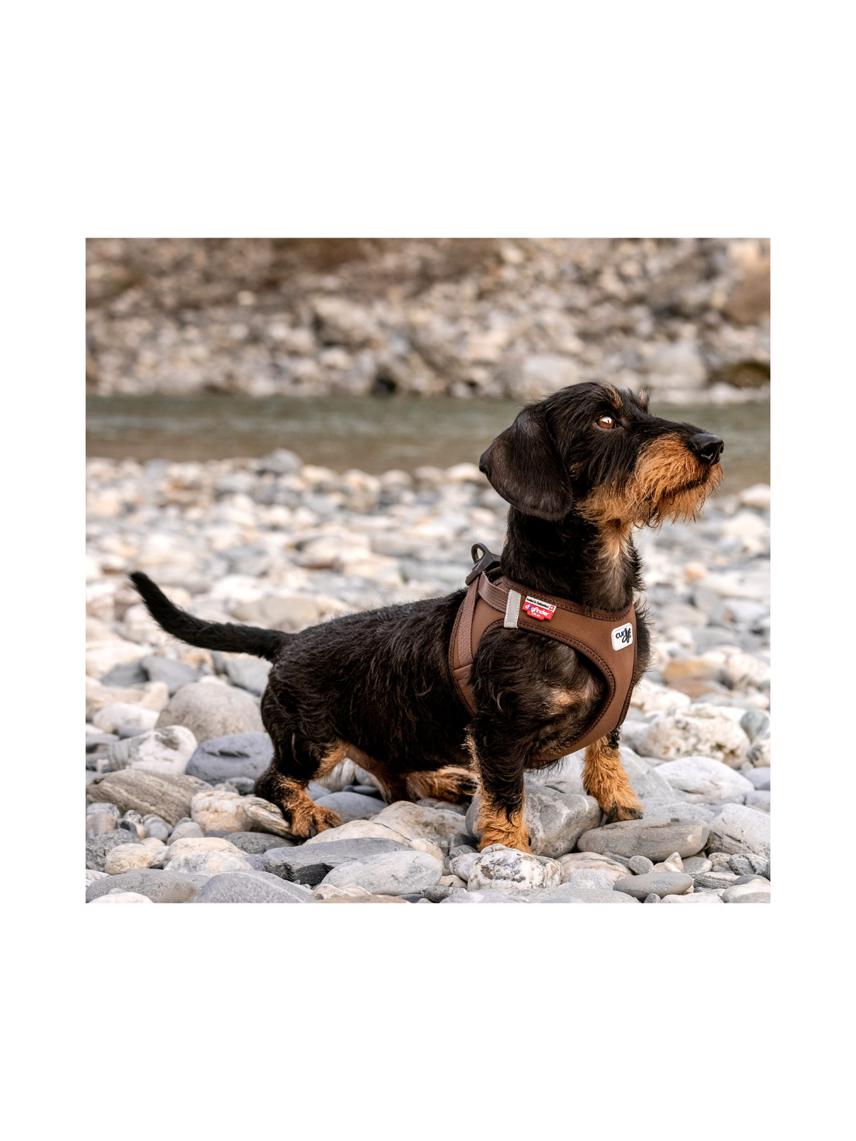 Softshell Vest Harness – Brown