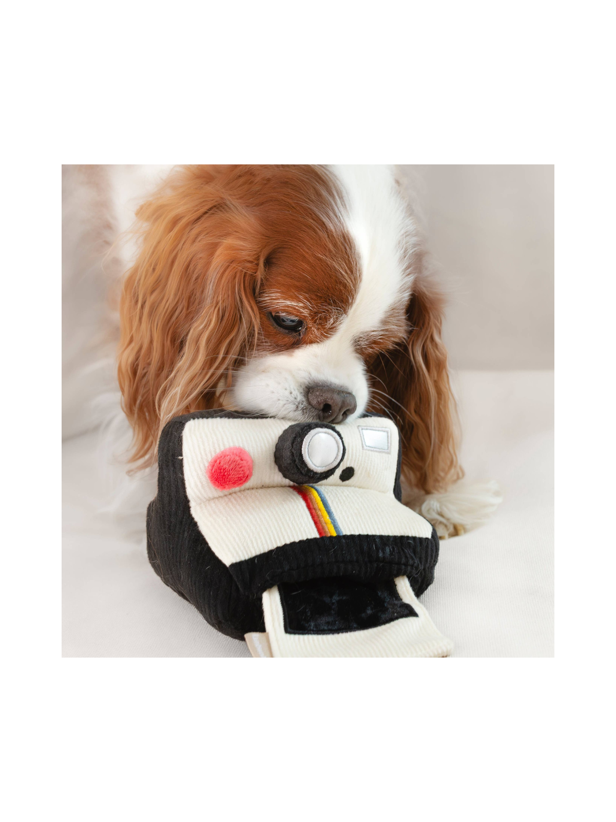 Instant Camera Snuffle Toy