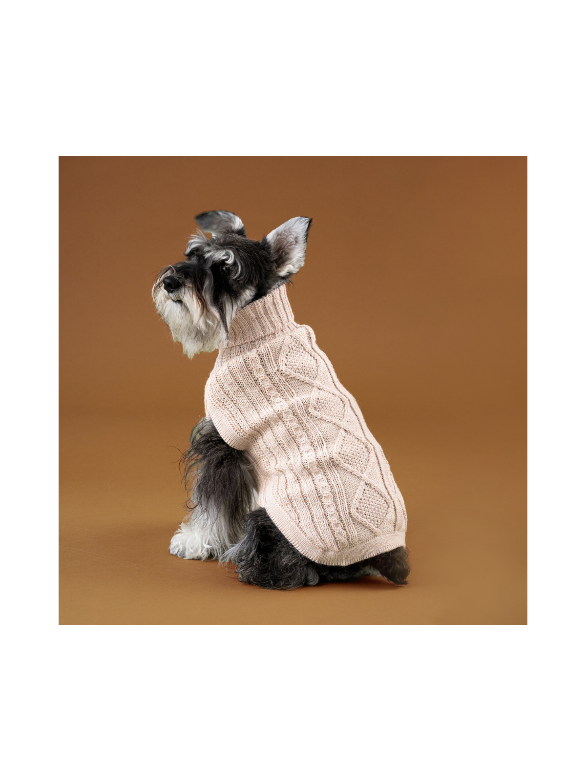 Aran Knit Alpaca Dog Sweater – Ivory
