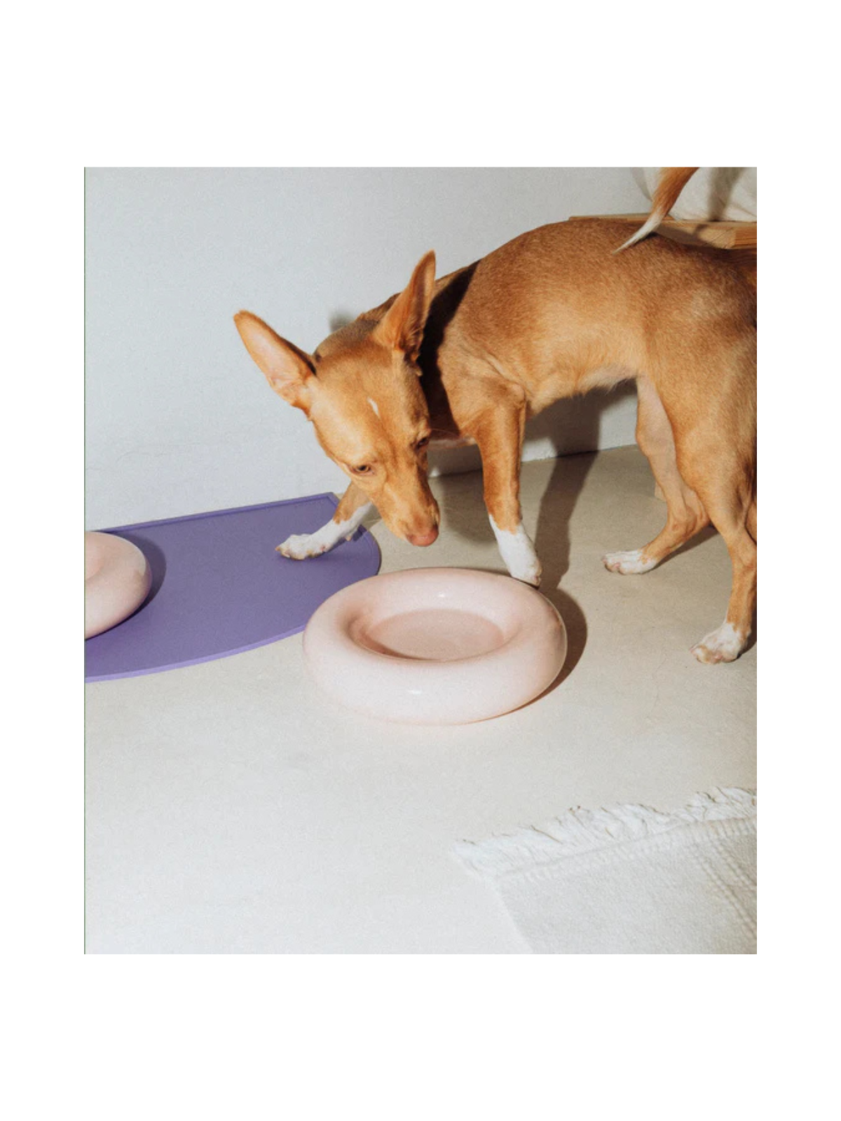 Ceramic Dog Bowl – Pink