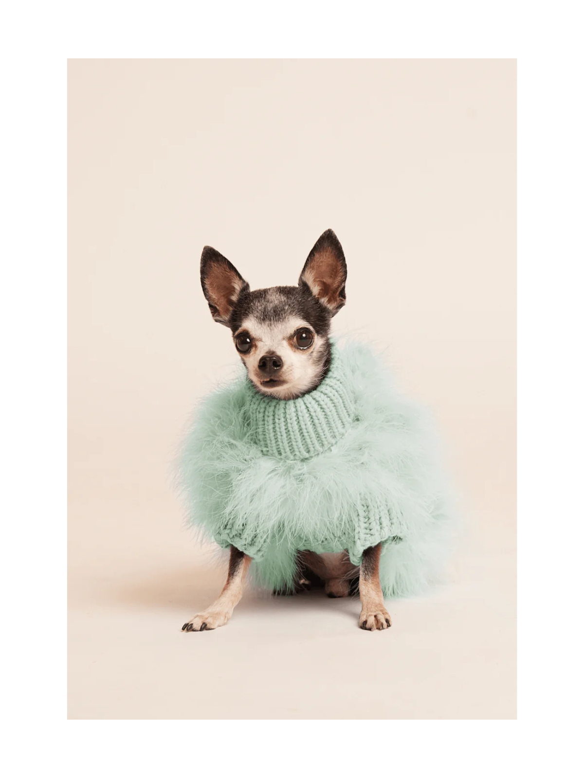 Maxbone x Christian Cowan Dog Sweater – Mint