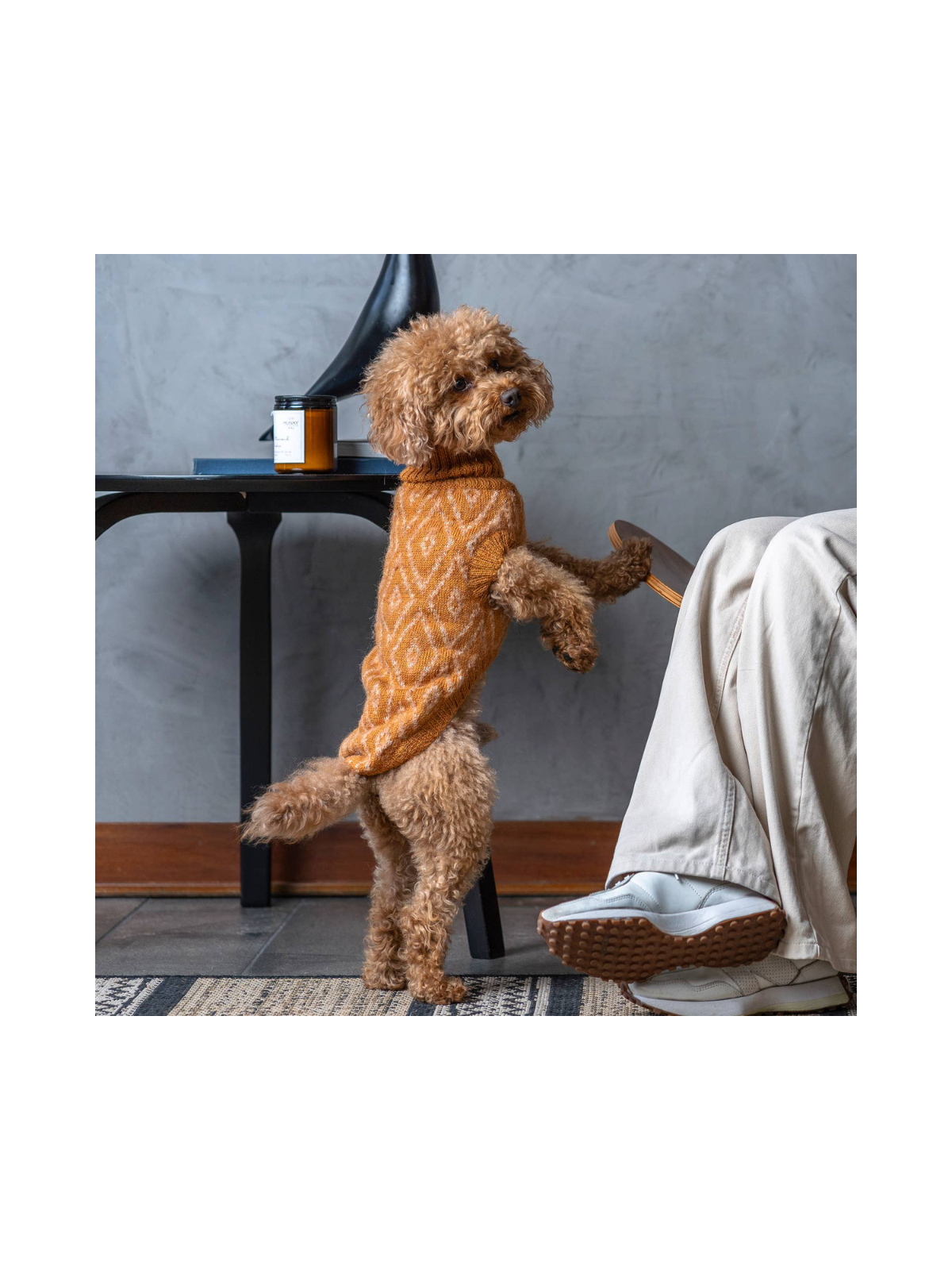 Golden Ochre Alpaca Dog Sweater