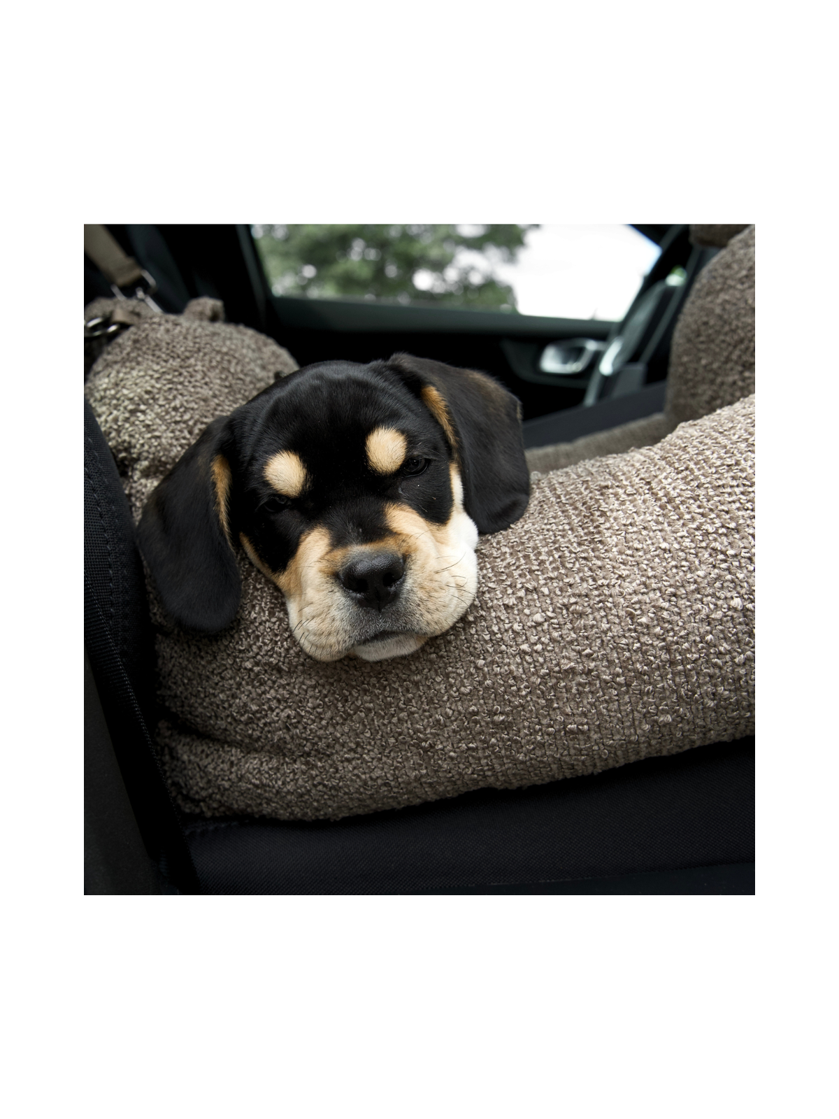 Tova 2-in-1 Car Seat – Chestnut Bouclé