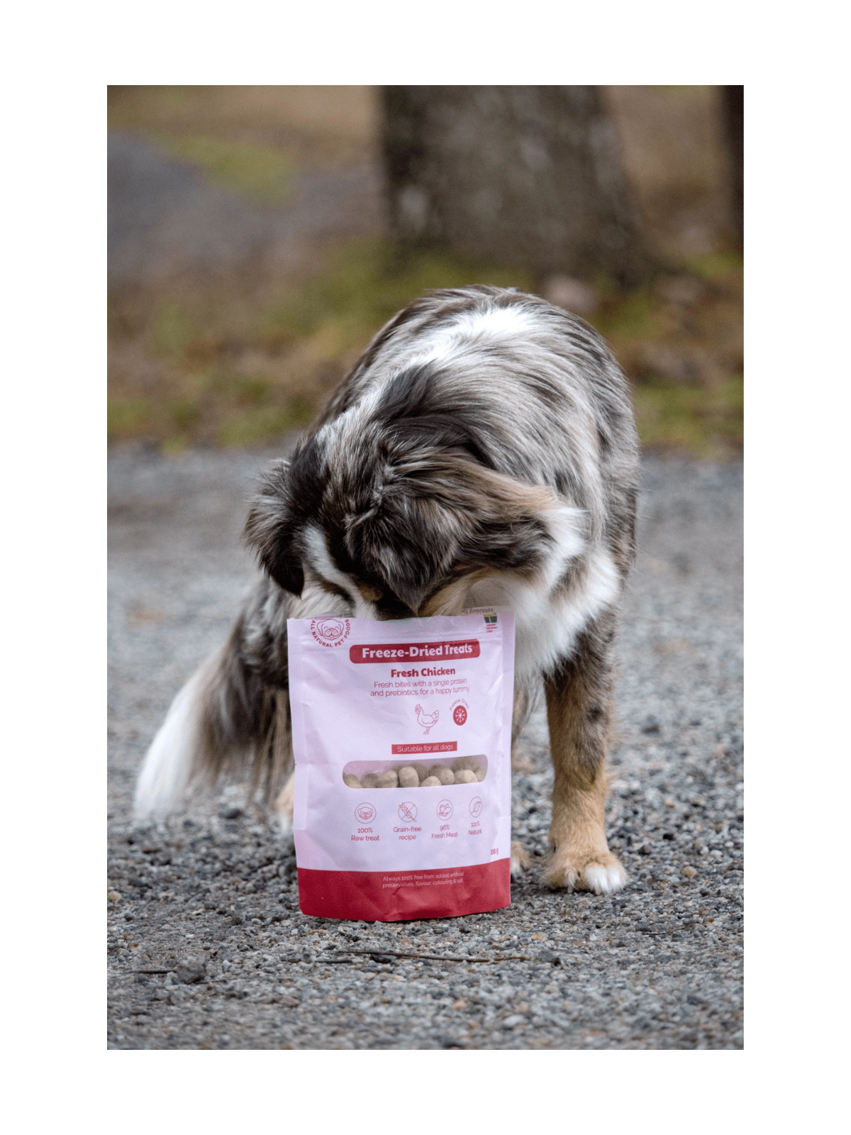 Freeze Dried Treats Singles Raw Chicken (100 gr)