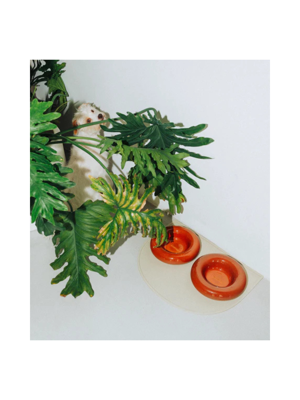 Ceramic Dog Bowl – Brown