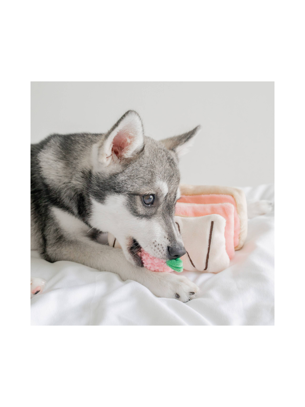 Strawberry Mille-Feuille Nosework Toy