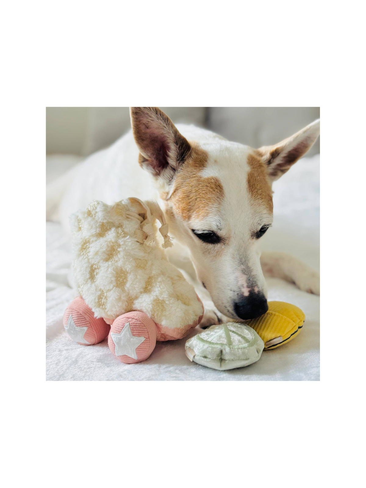 Roller Skate Snuffle Toy