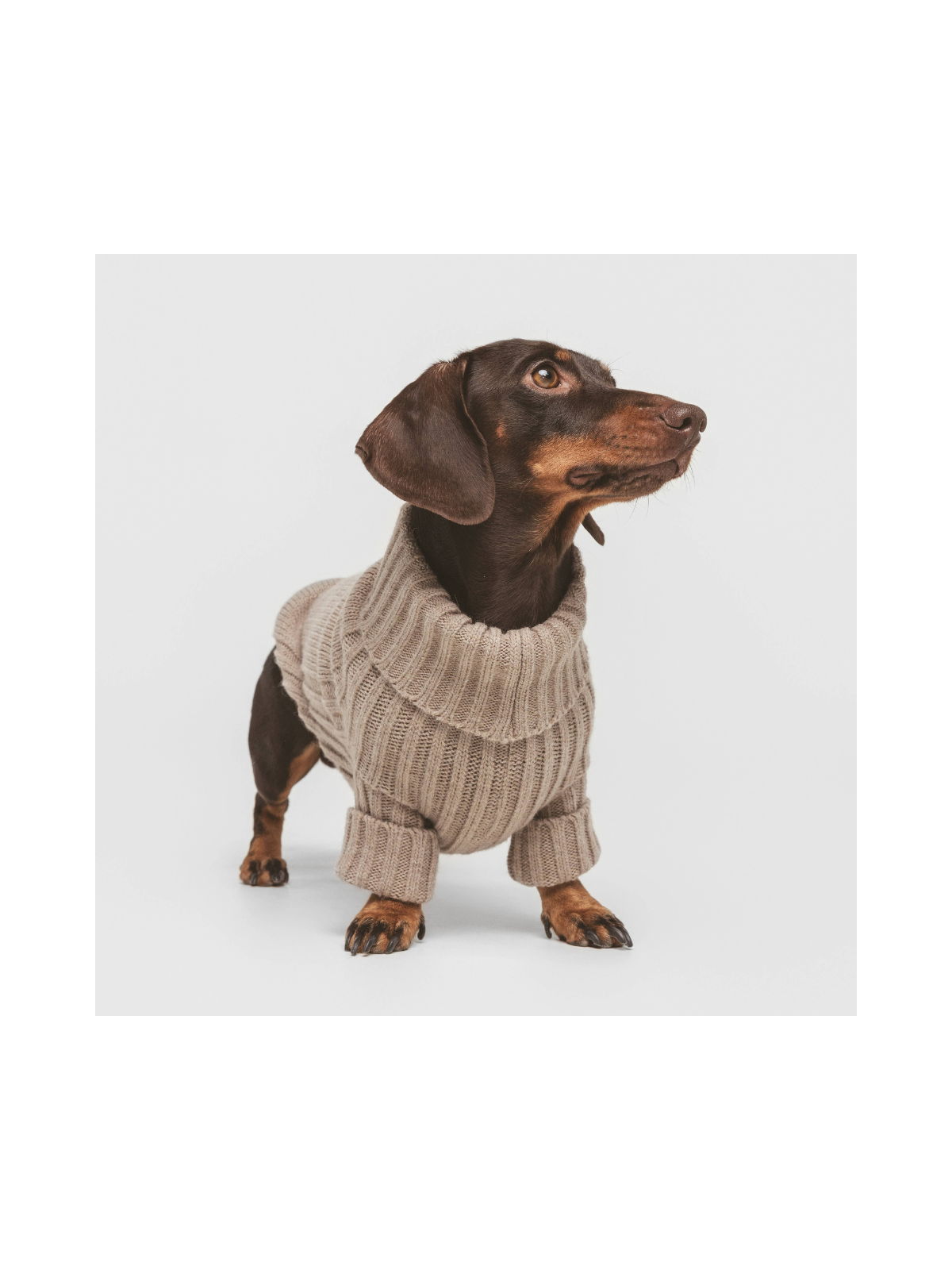 Pantone Sweater – Sand