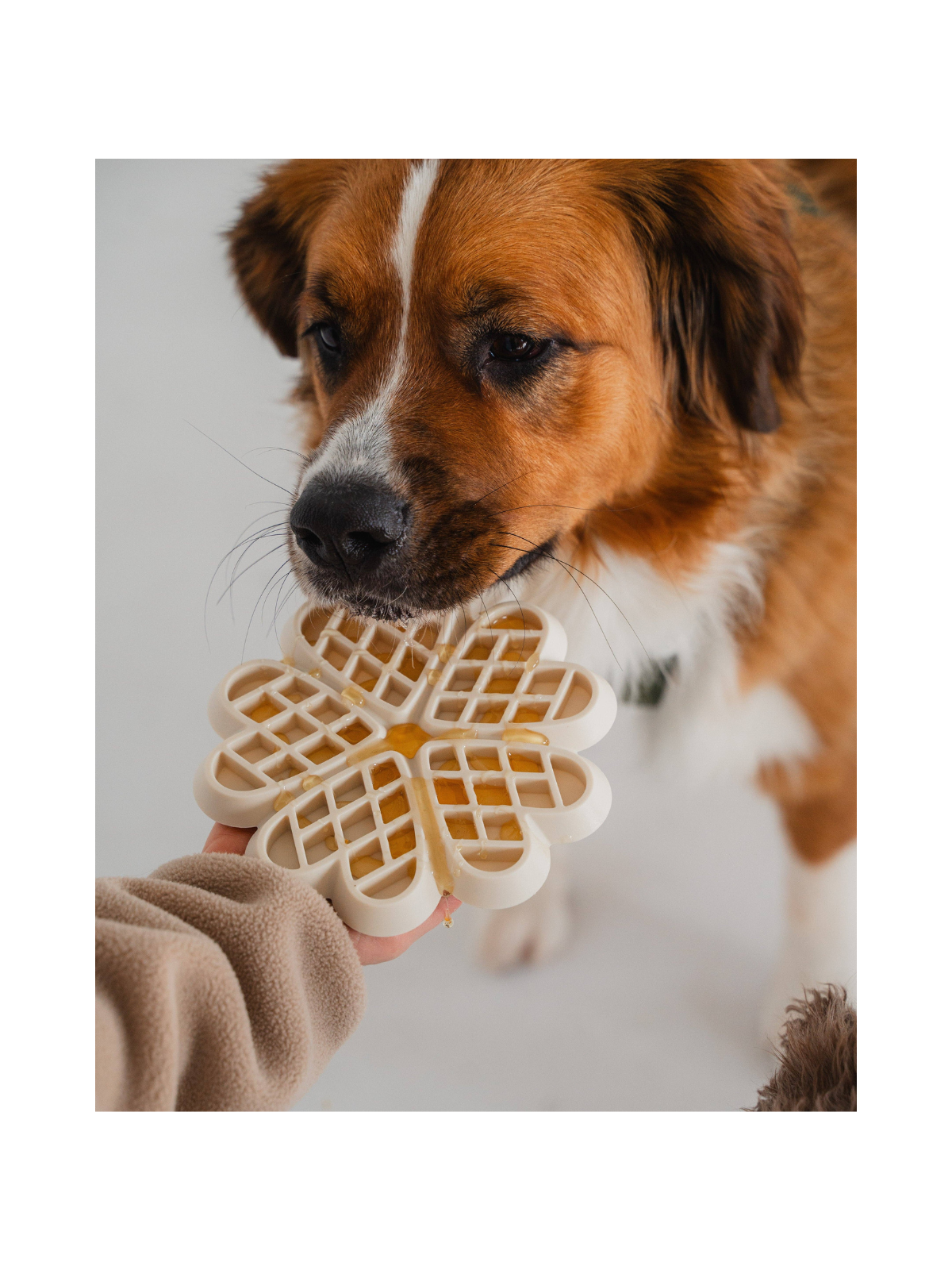 Hide and Seek Slow Feeder - Buttercream