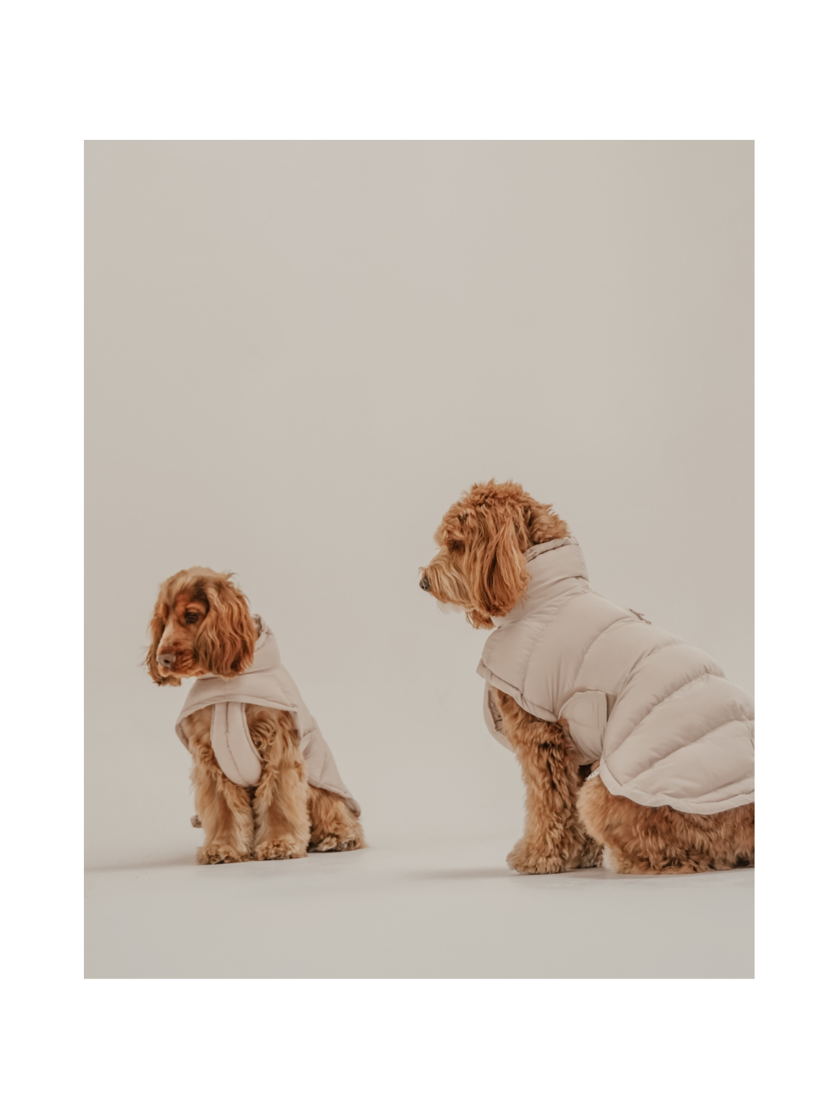 The Capsule Puffer Dog Coat – Hazelnut