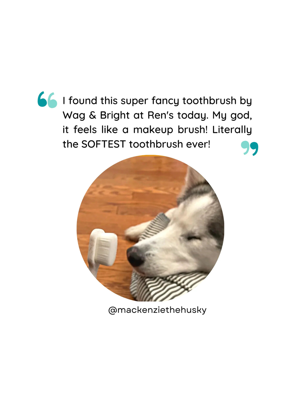 Puppy Polisher Eco Toothbrush