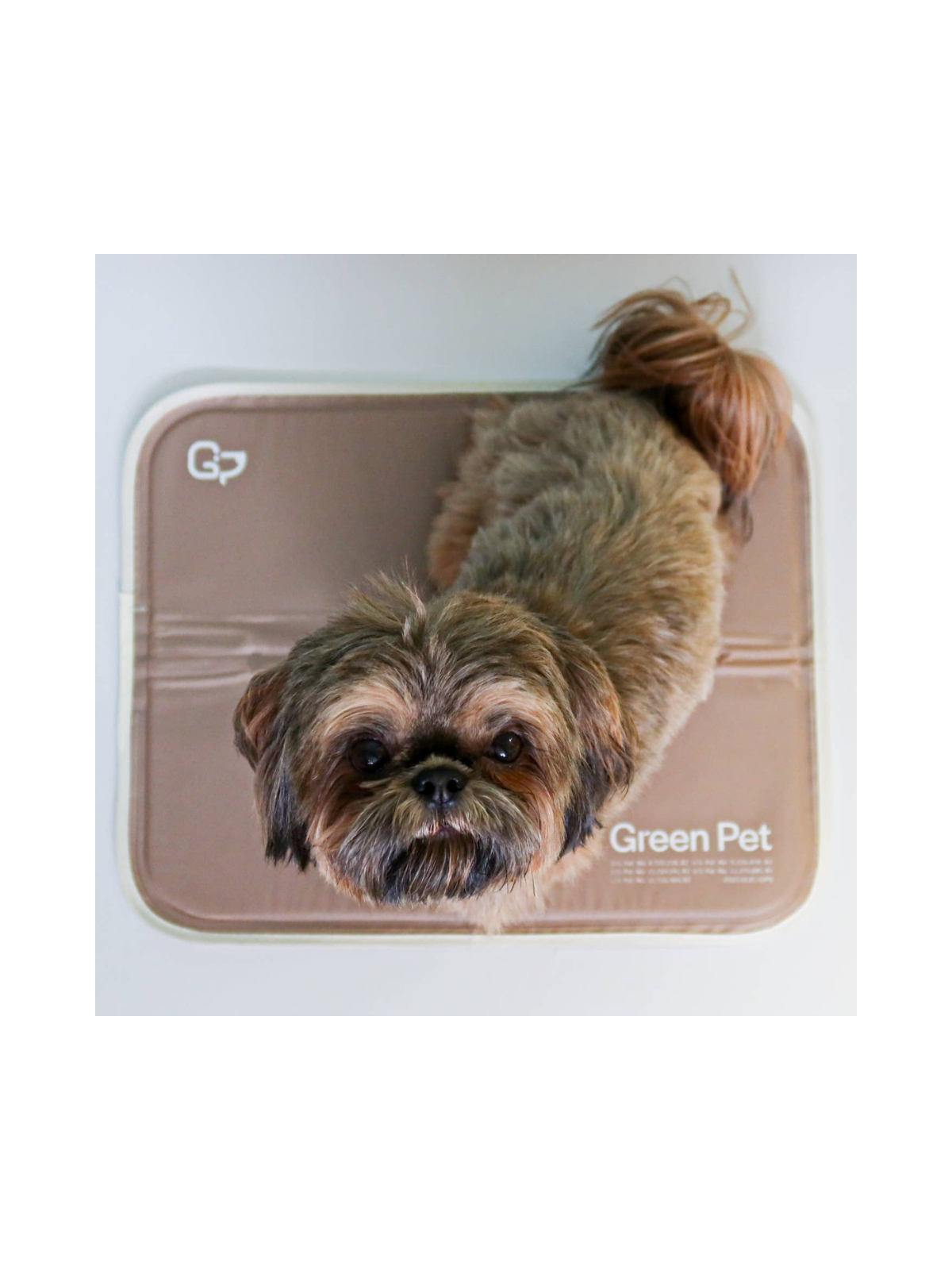 Cool Pet Pad with Cover