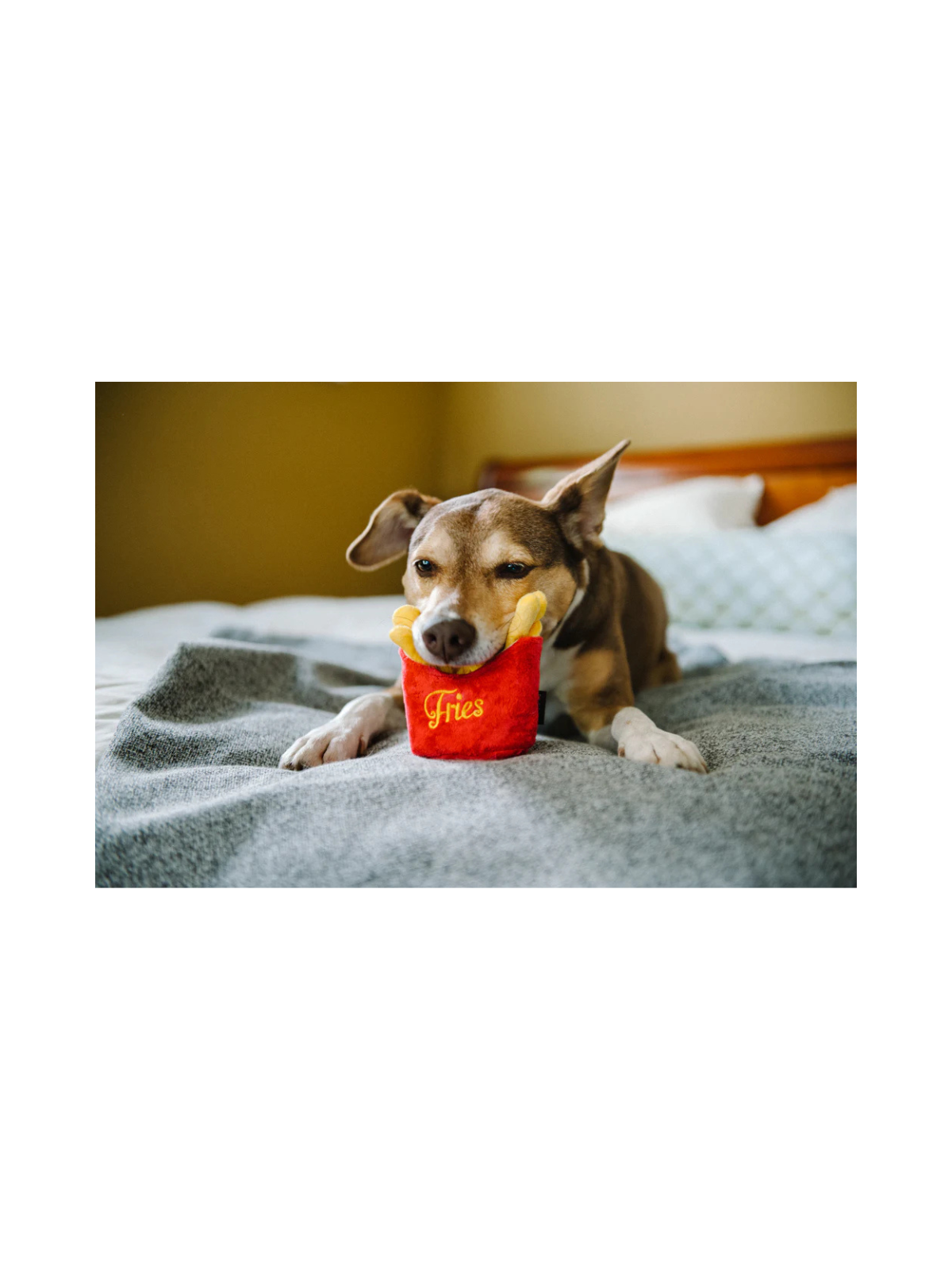 American Classic Frenchie Fries