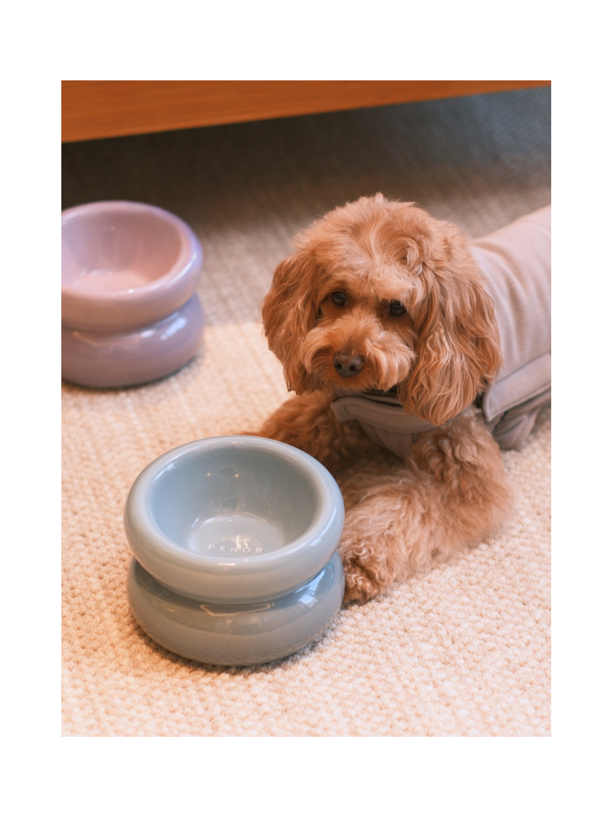 Soufflé Pet Bowl - Frozen Blue