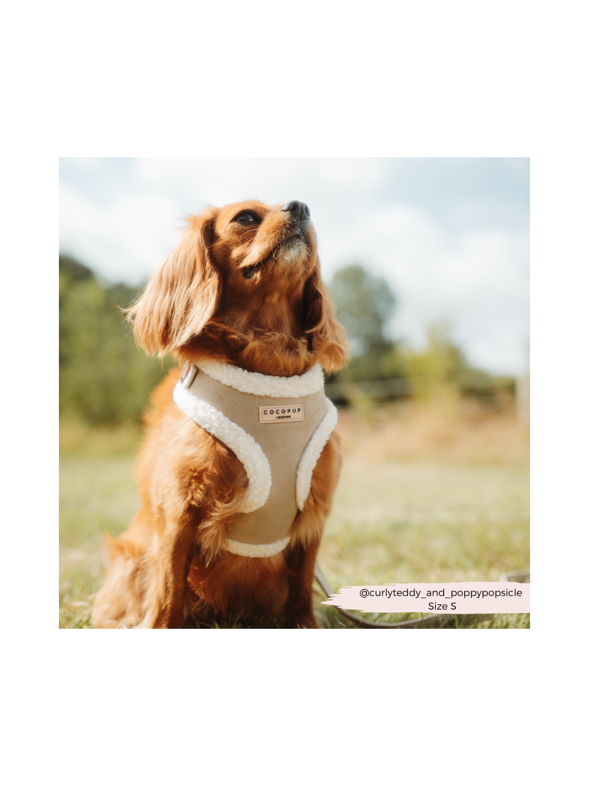 Nude Aviator Adjustable Neck Harness – Faux Suede with Fluffy Trim