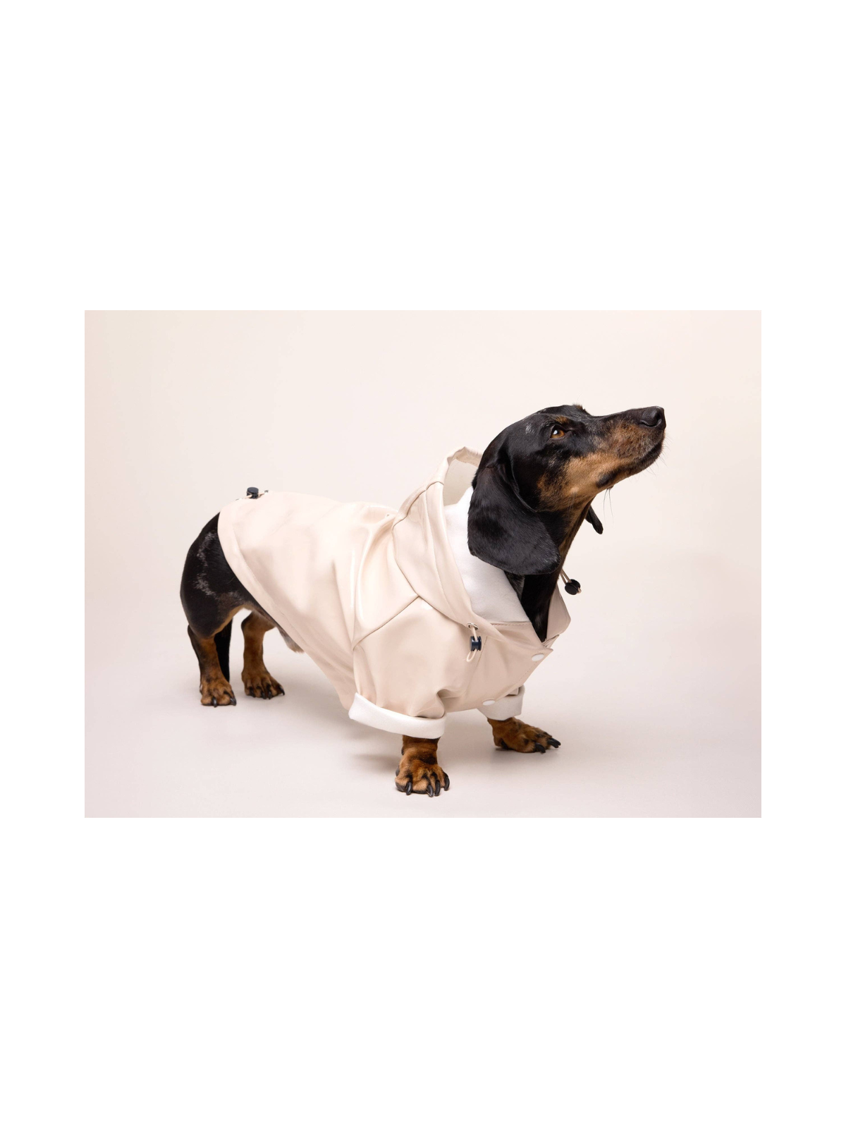 Cream Dog Raincoat