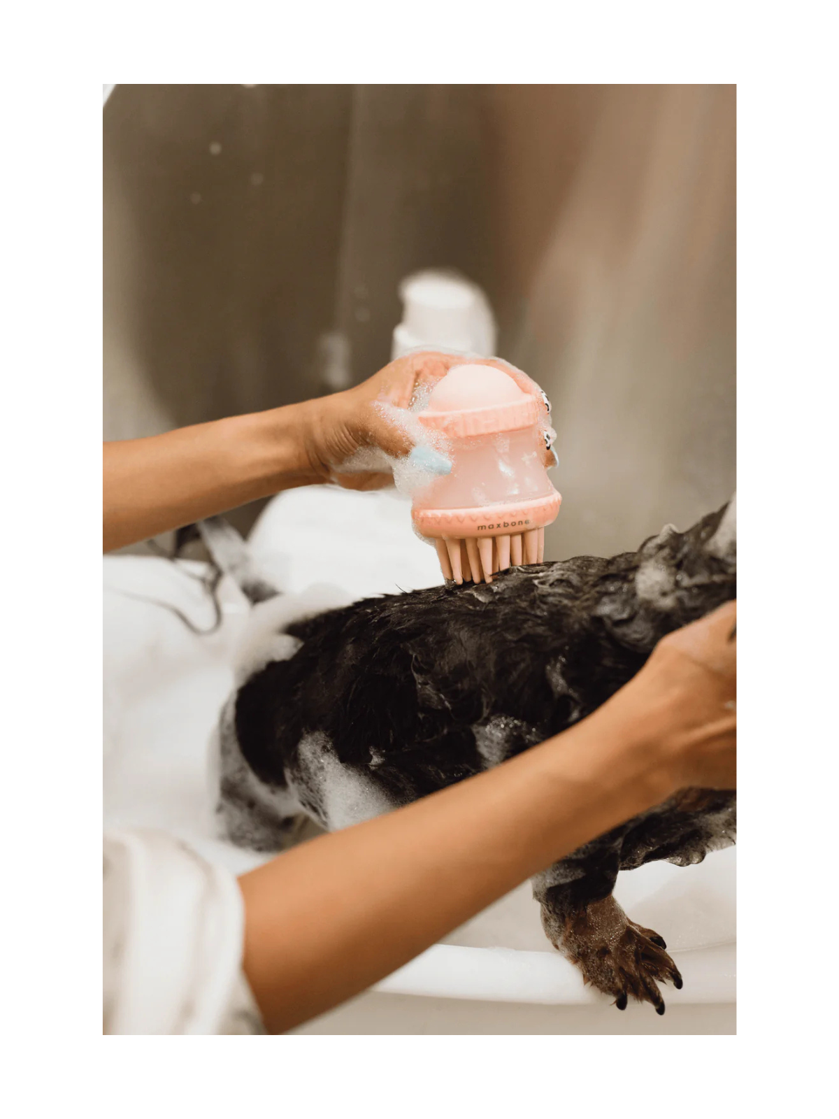 Deep Cleanse Shampoo Dispensing Dog Brush