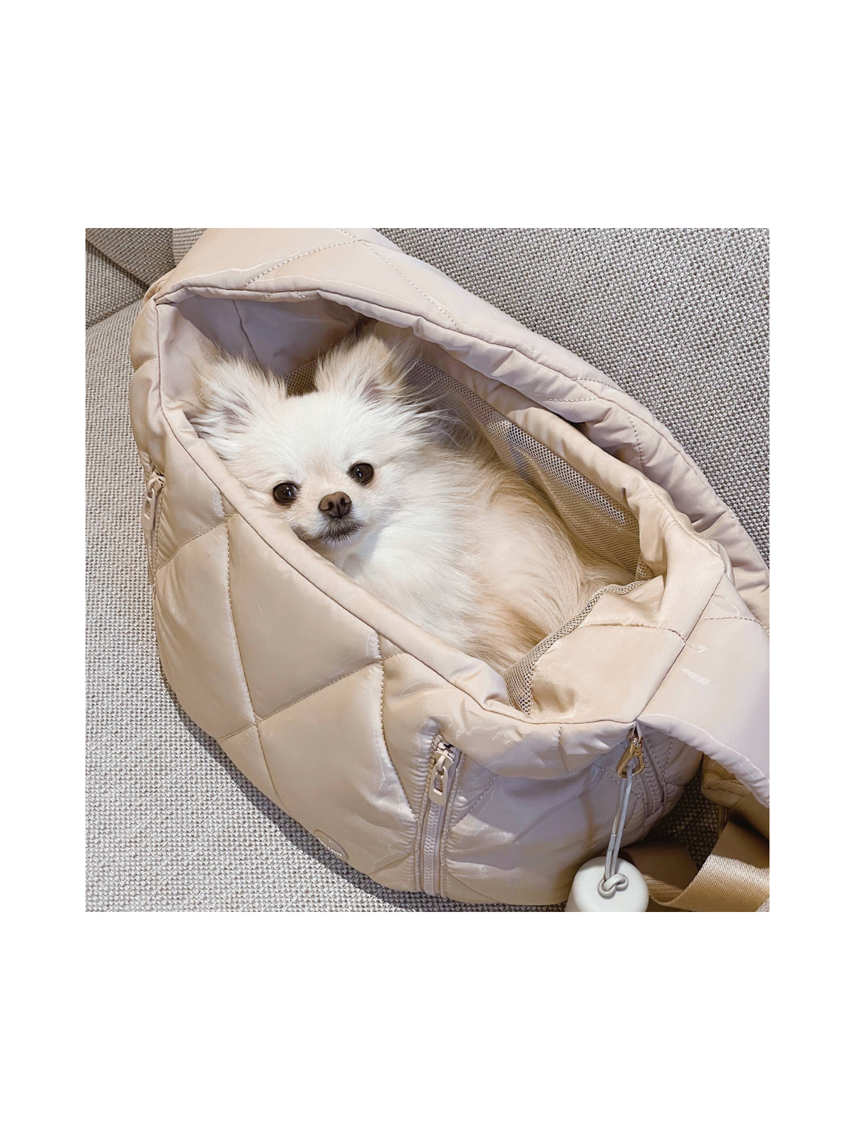 Cloud Crossbody Pet Carrier - Latte
