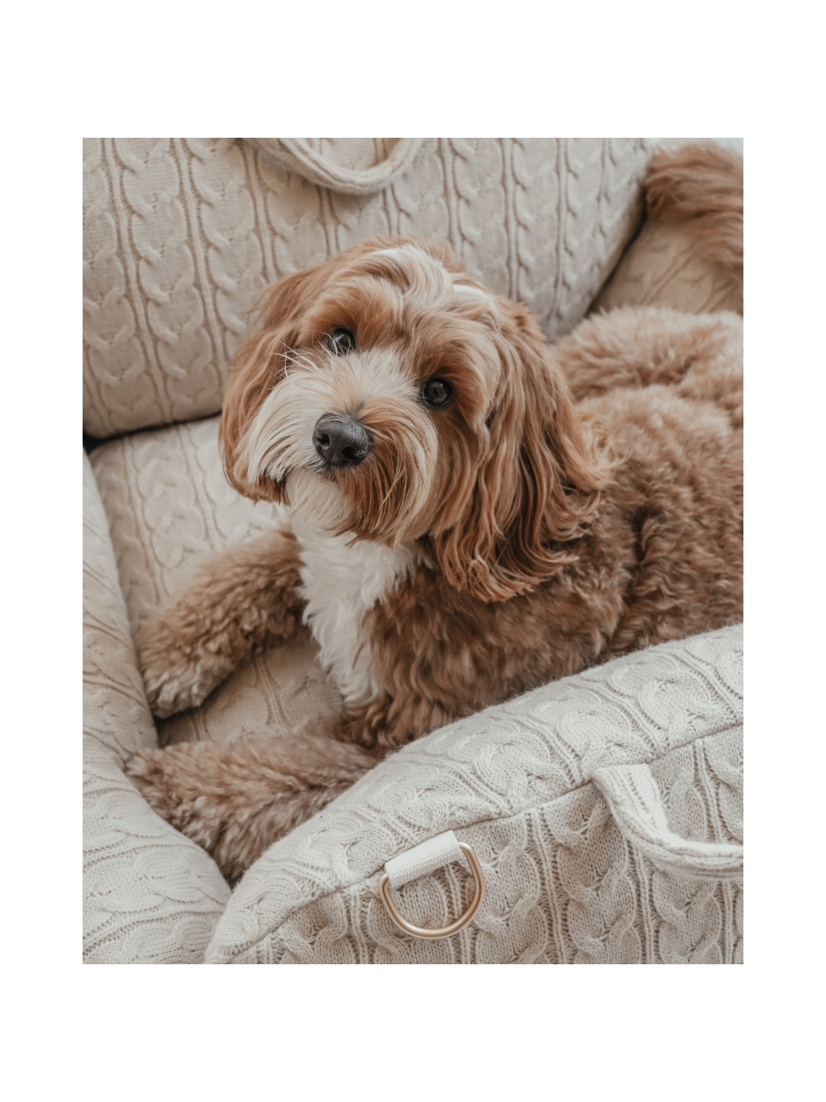 The Cable Knit 3-in-1 Dog Car Seat – Hazelnut