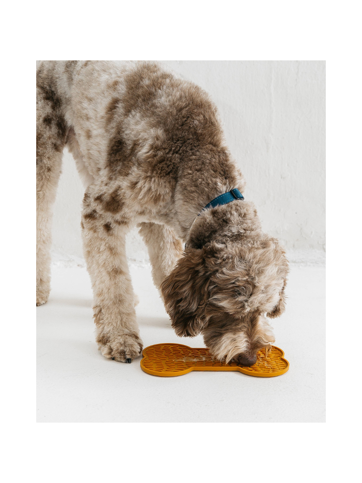 Dog Bone Enrichment Licking Mat - Brown