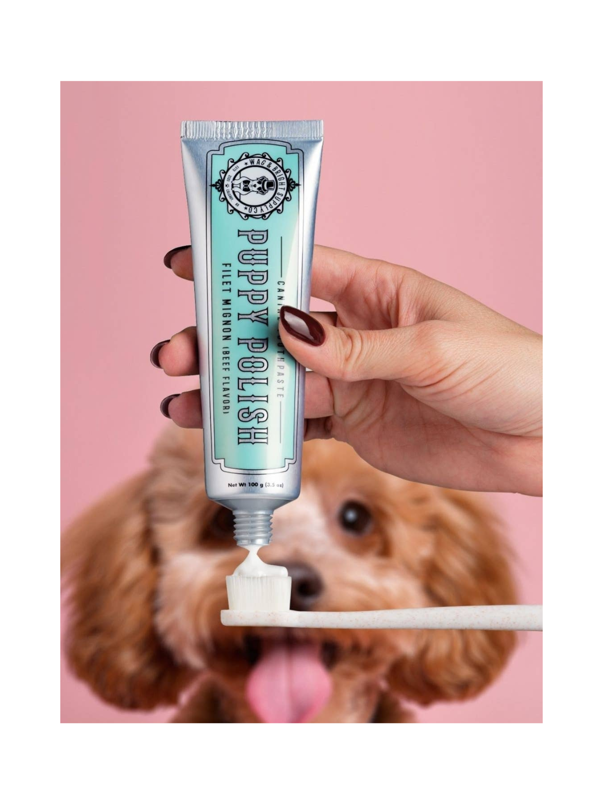 Puppy Polish Toothpaste – Filet Mignon